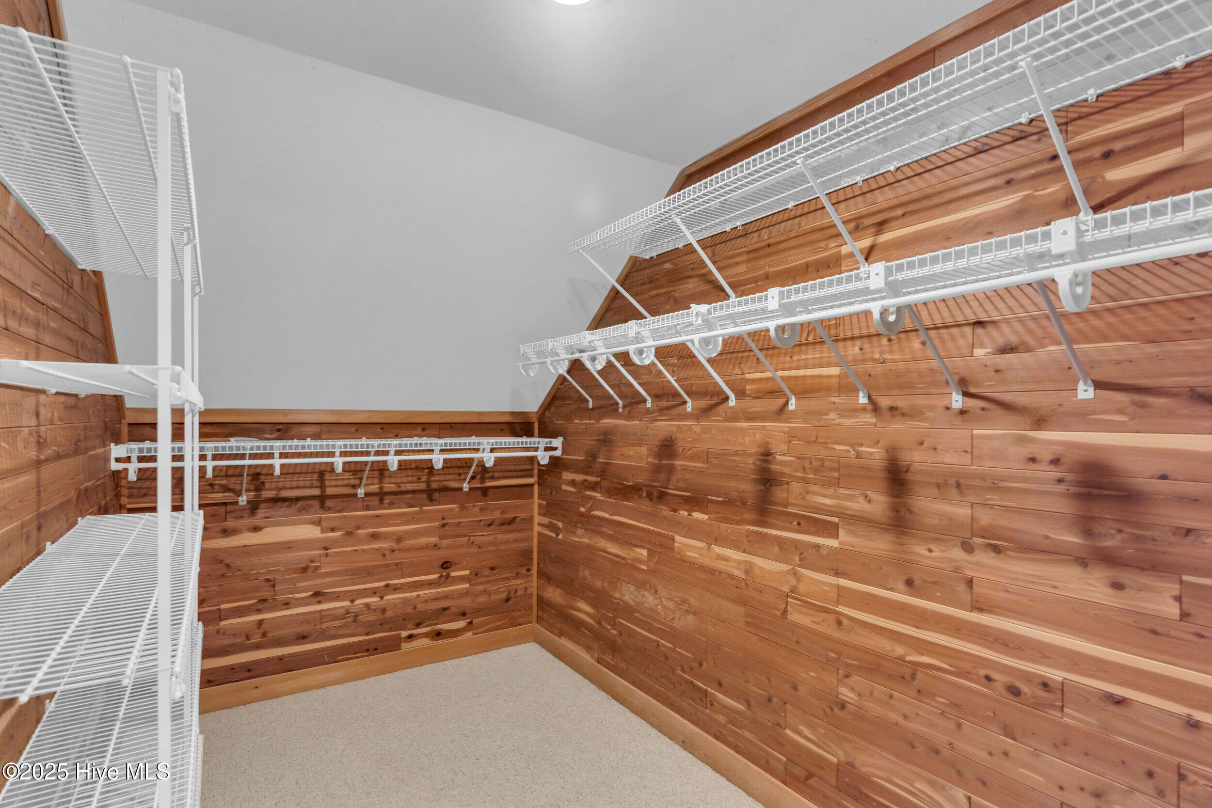 100505592 | Photo 37