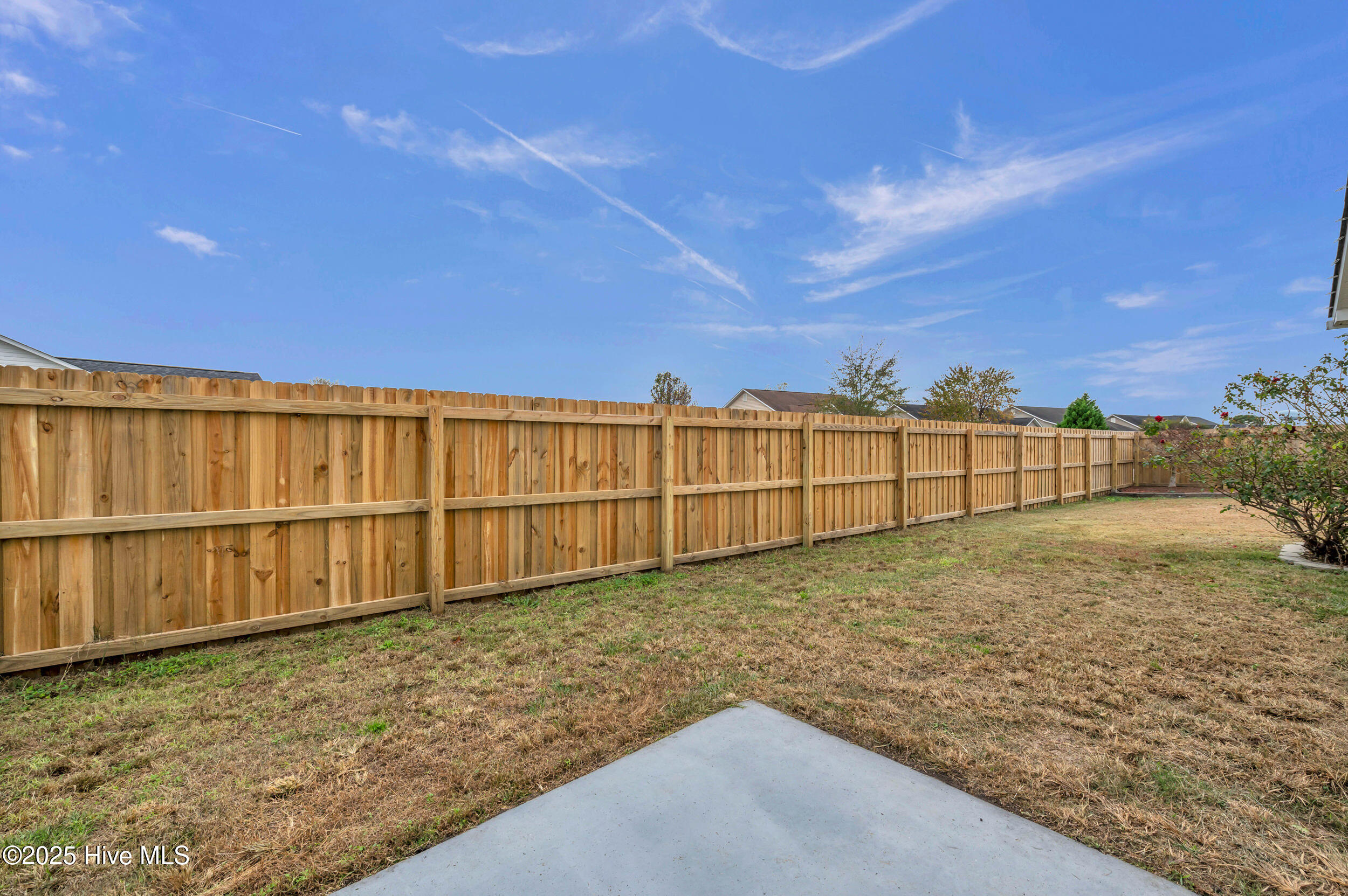 100543780 | Photo 25