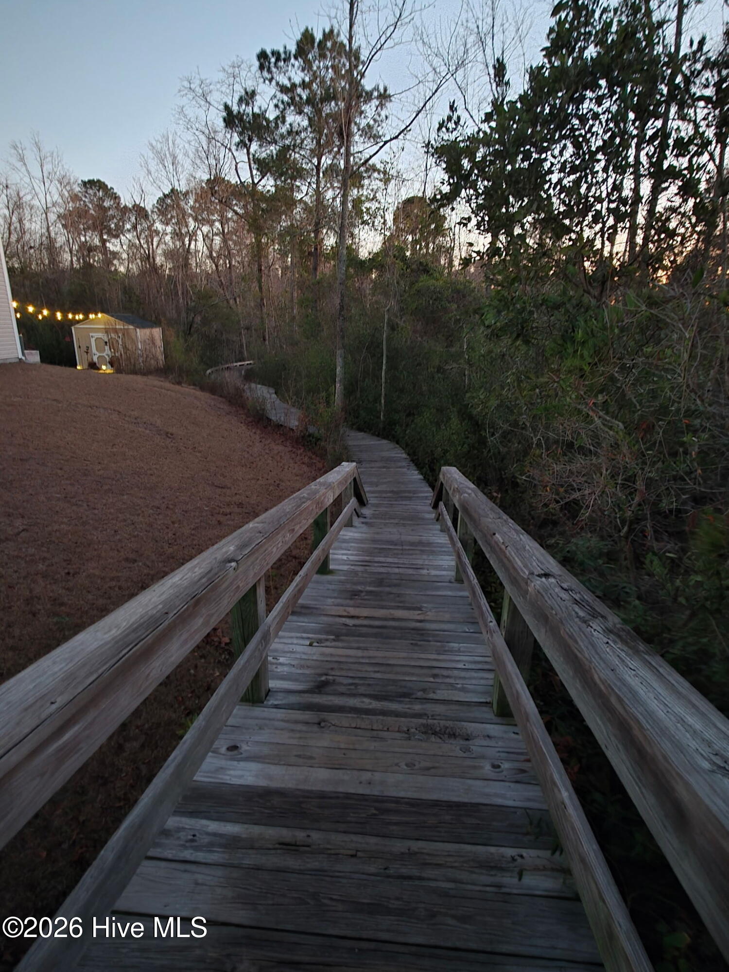 100549782 | Photo 53