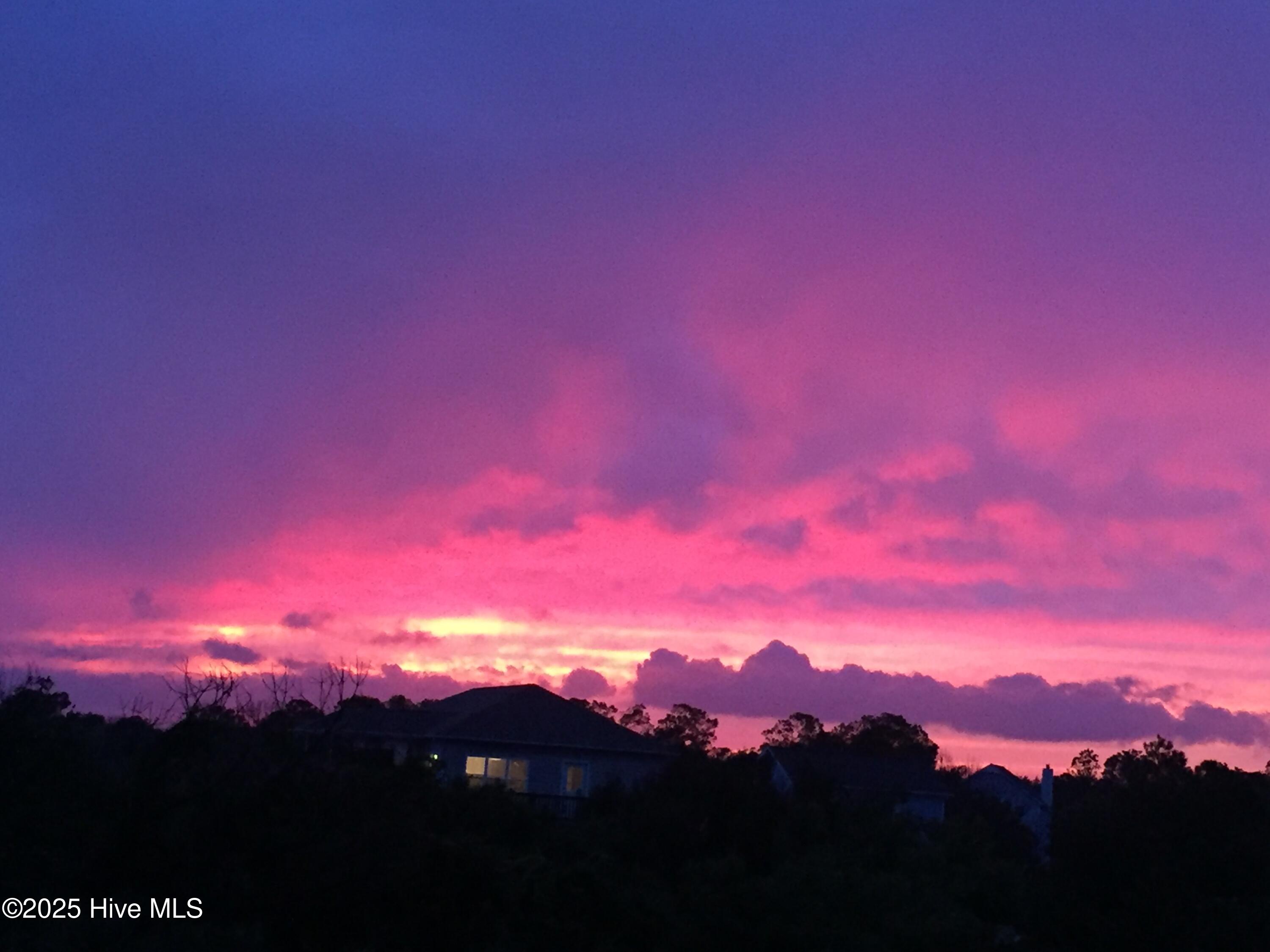 100518797 | Photo 53