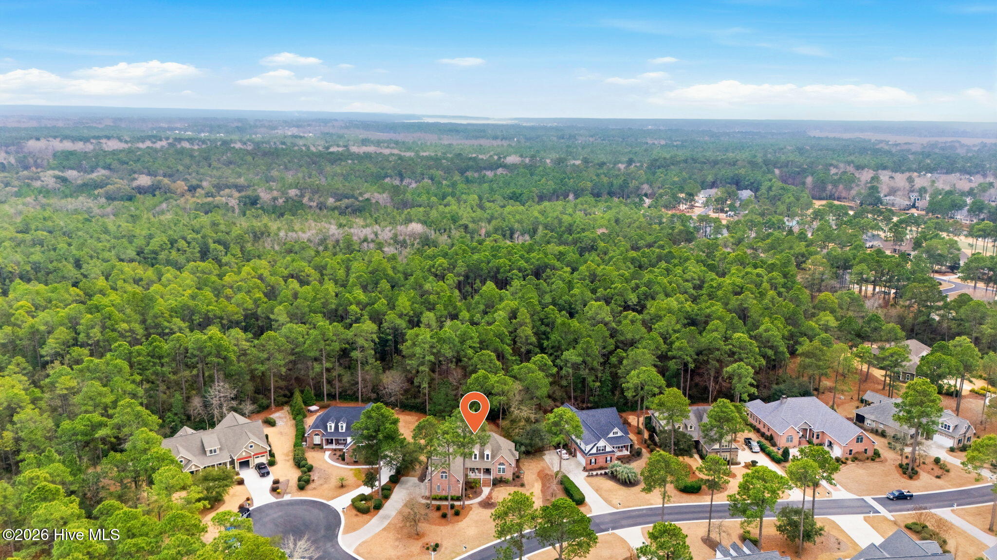 100556153 | Photo 13