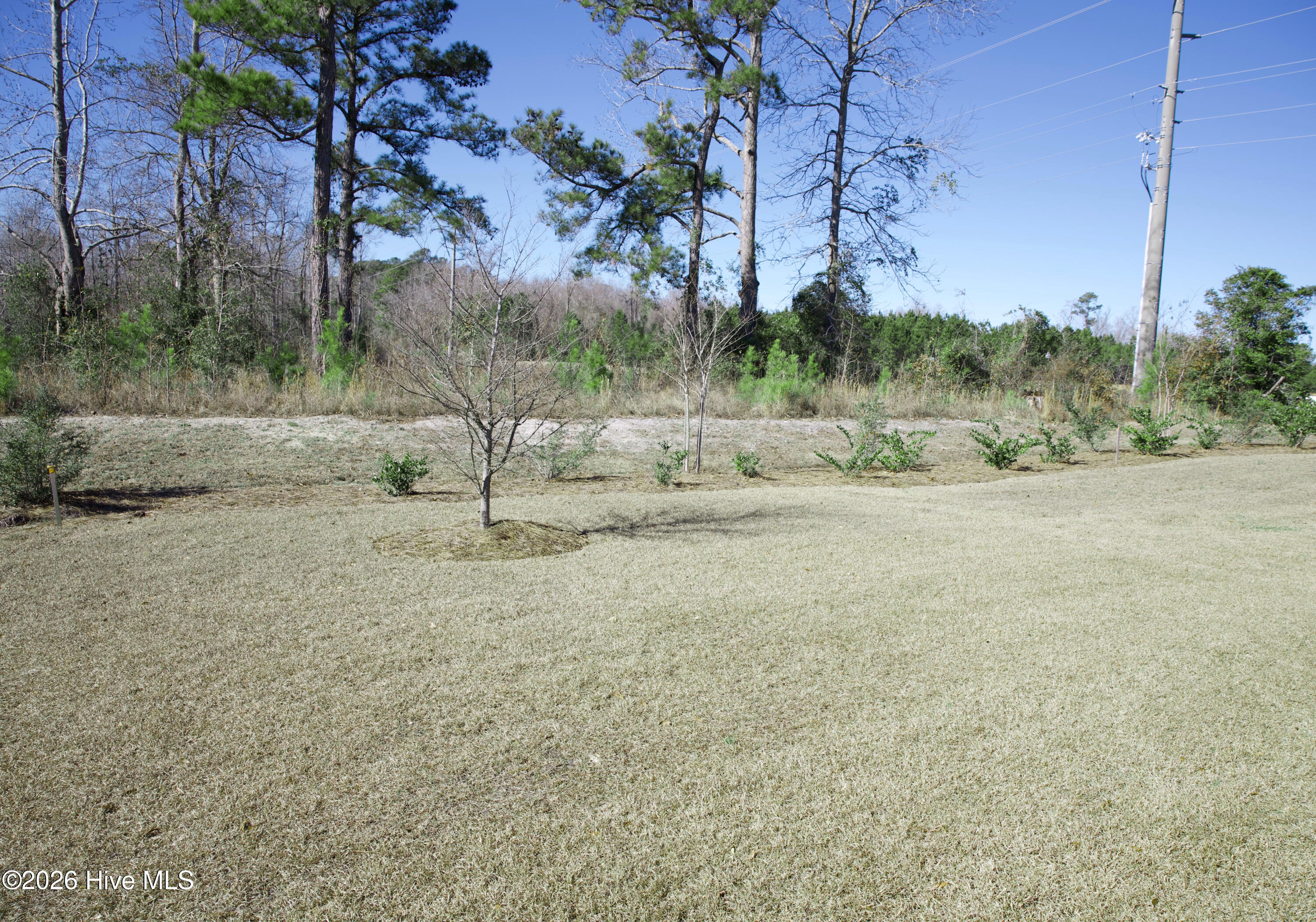 100549439 | Photo 10