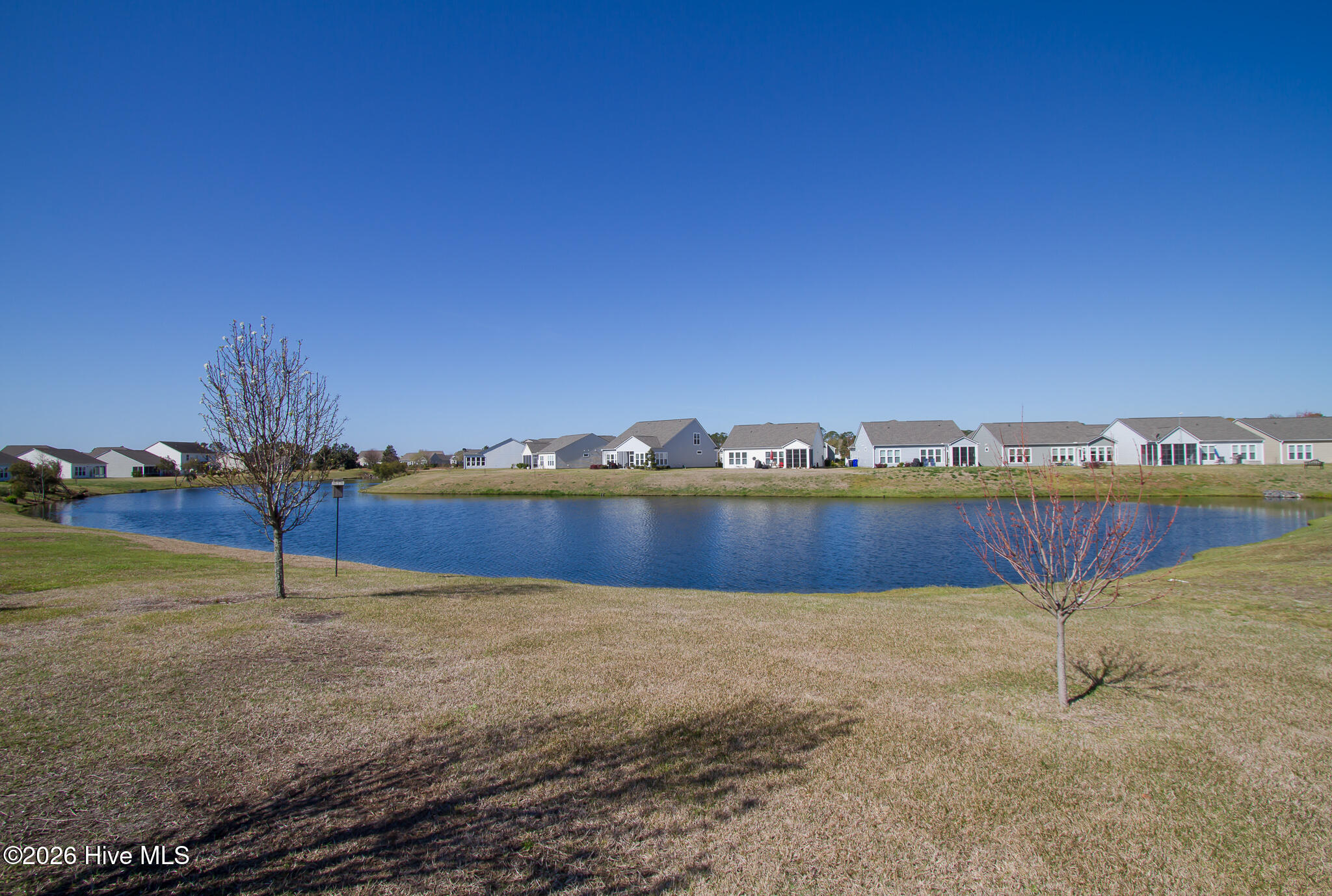 100558549 | Photo 11