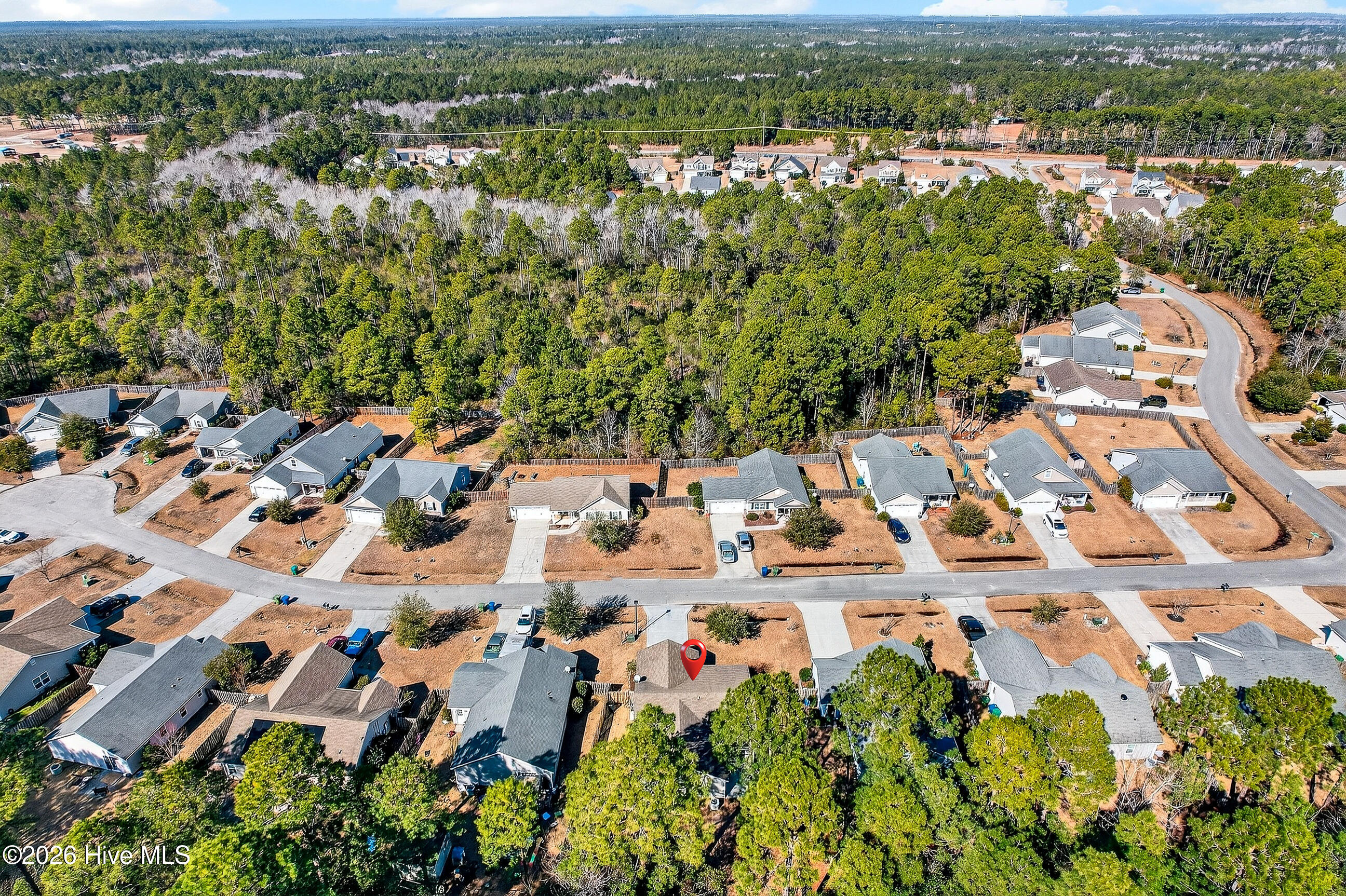 100553930 | Photo 29