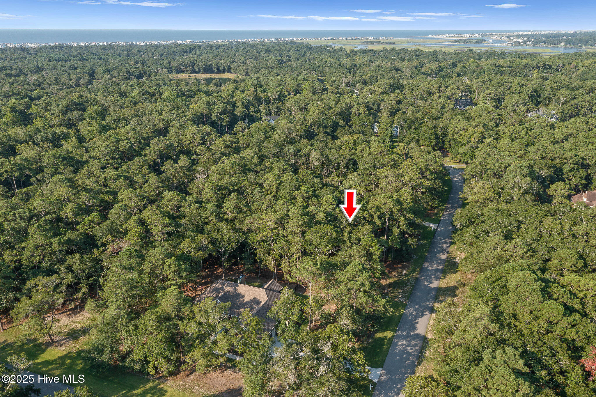 100526036 | Photo 15