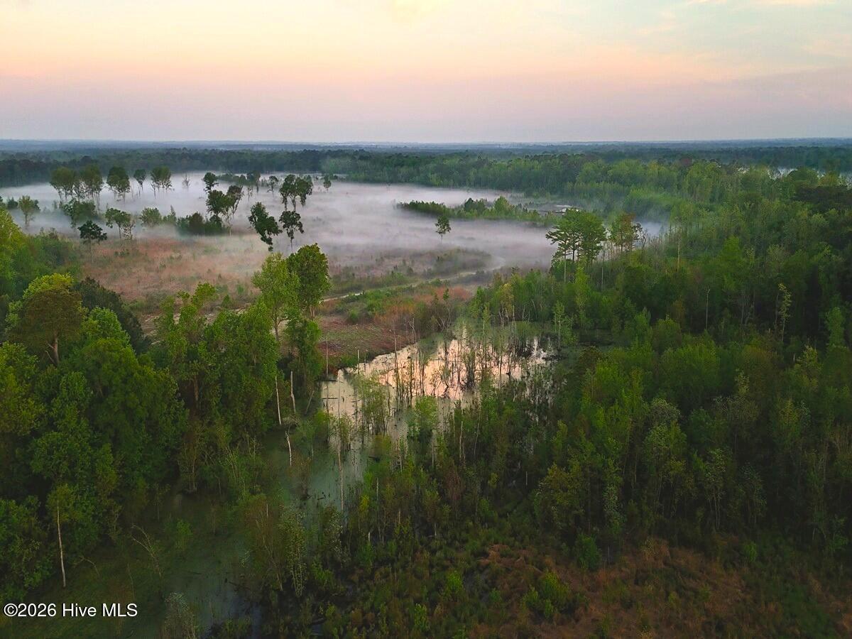 0 Durwood Evans Road, Beulaville, NC, 28518