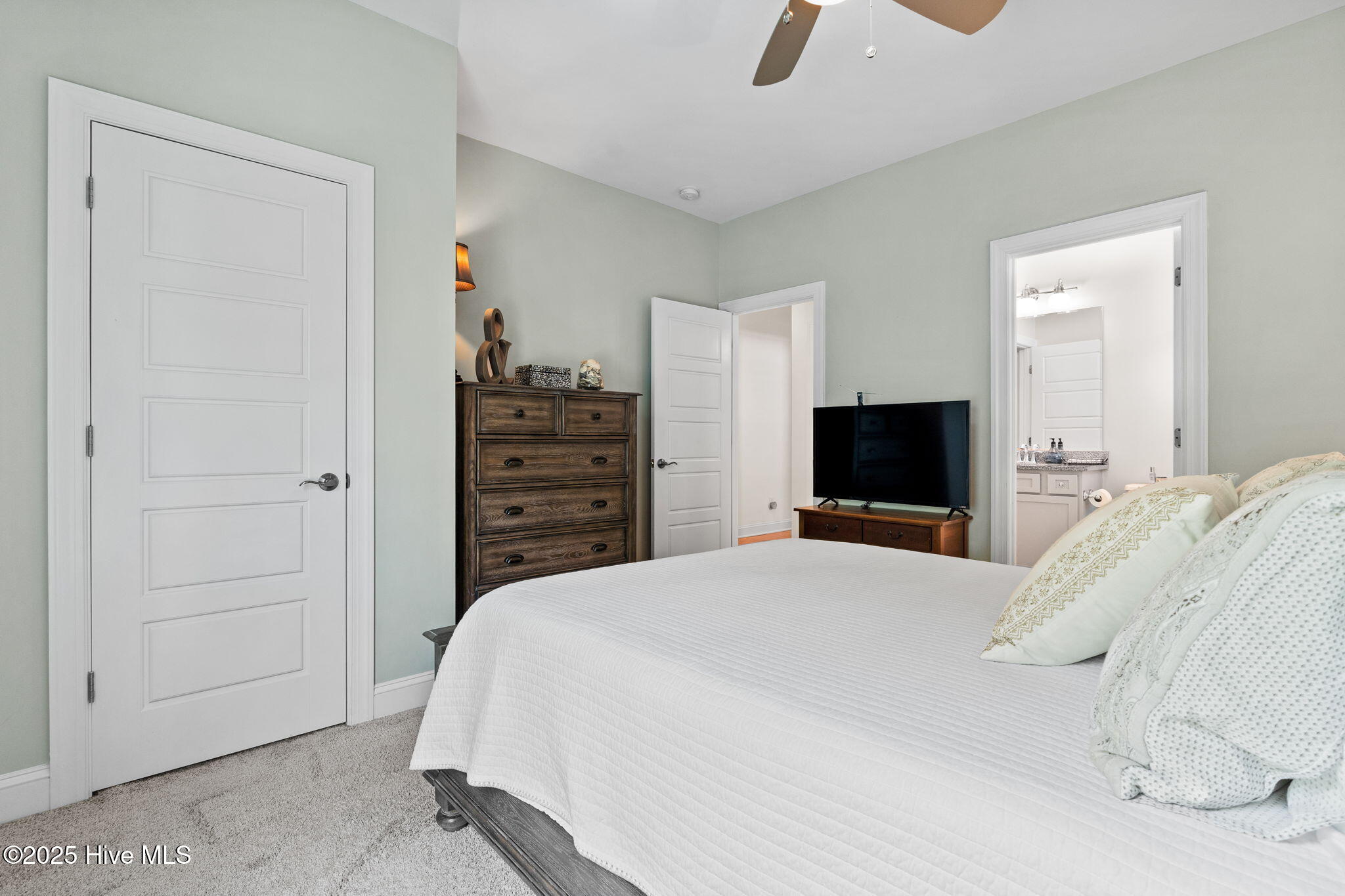 100566861 | Photo 26