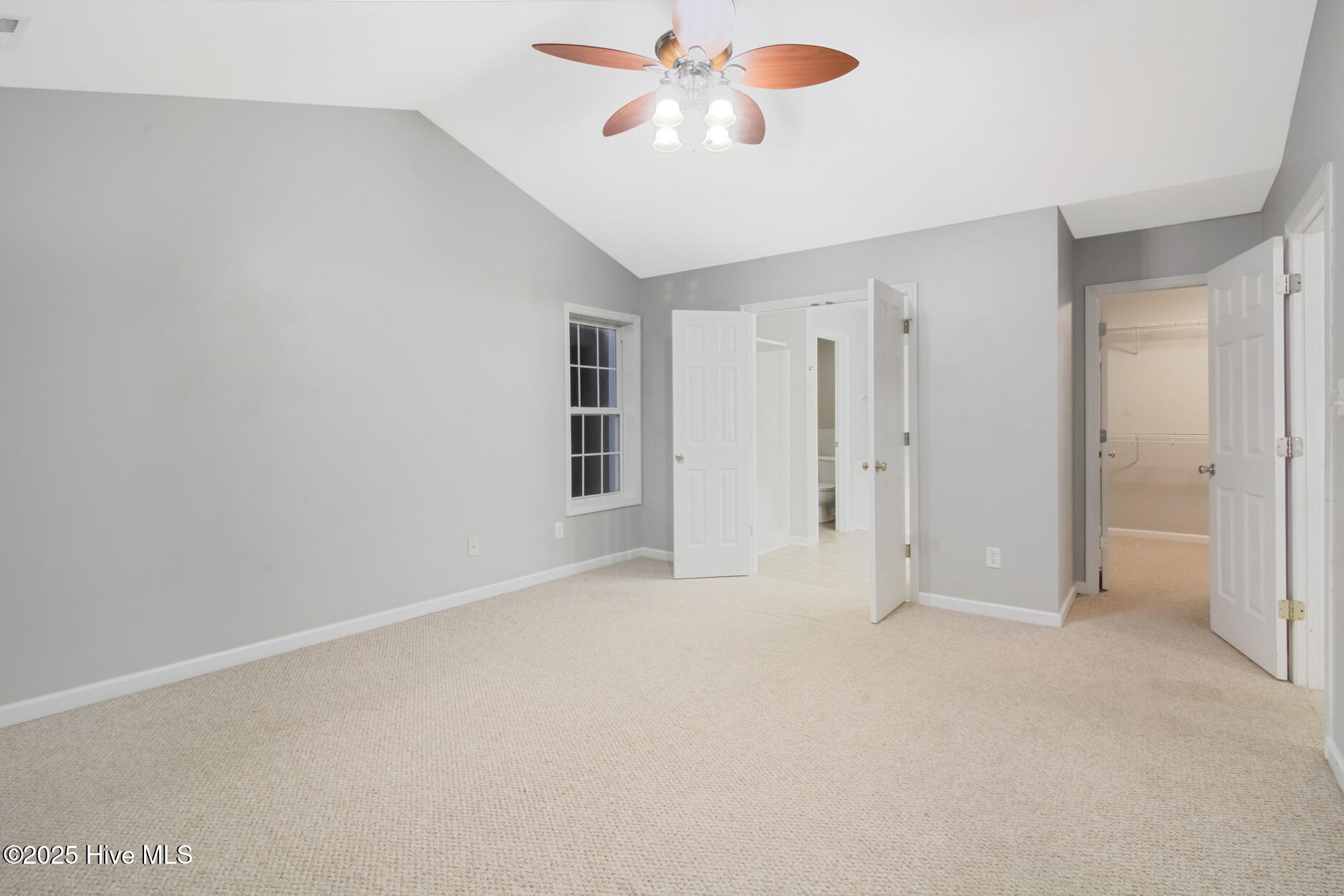 100539589 | Photo 23