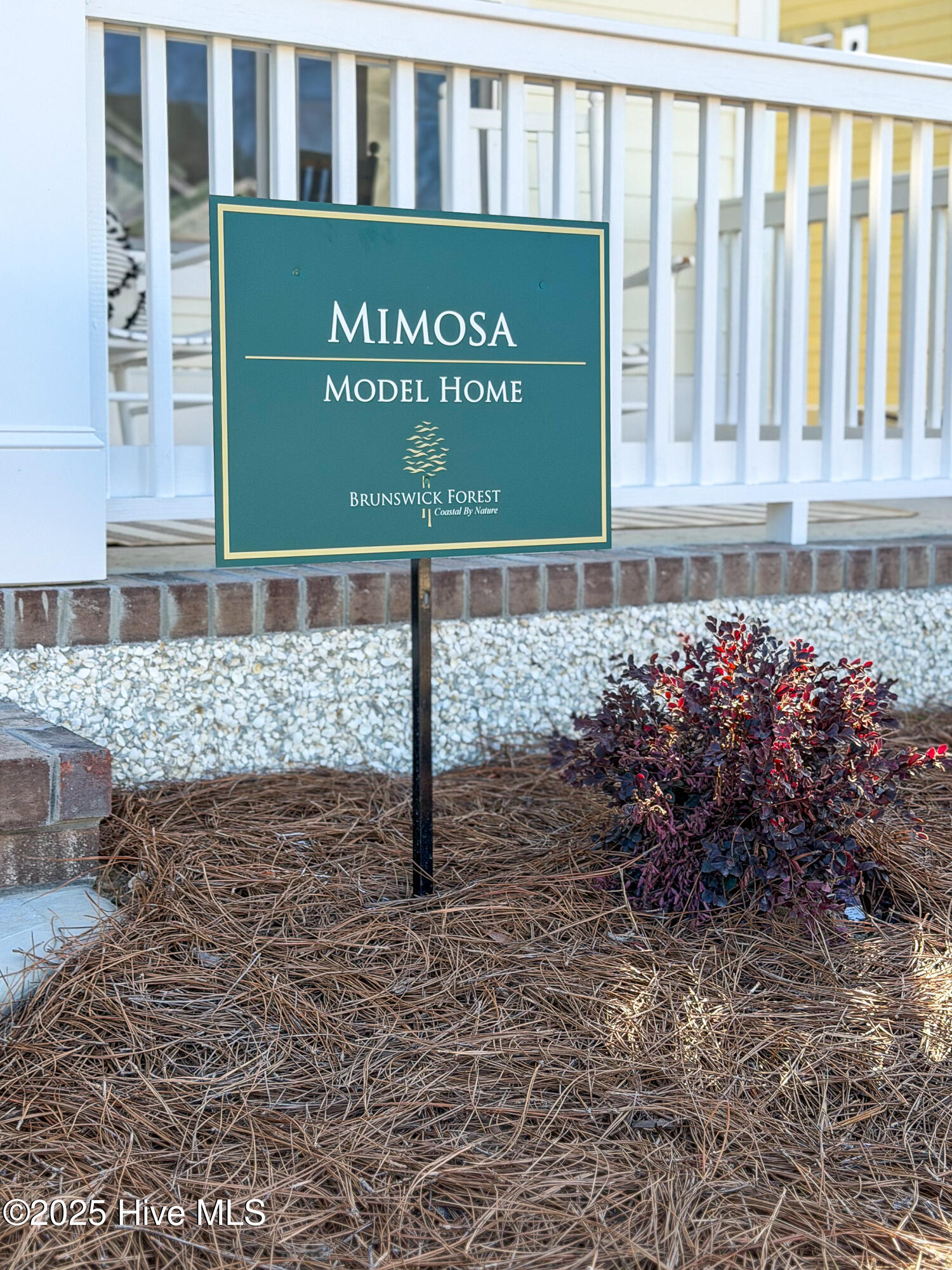 100531959 | Photo 11