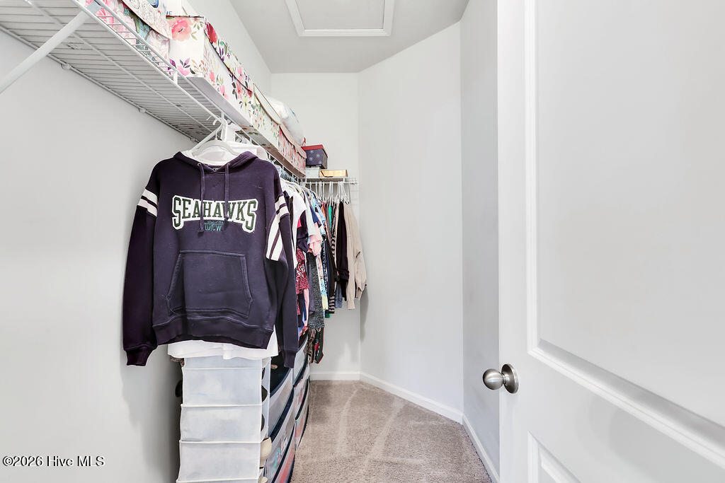 100553191 | Photo 22