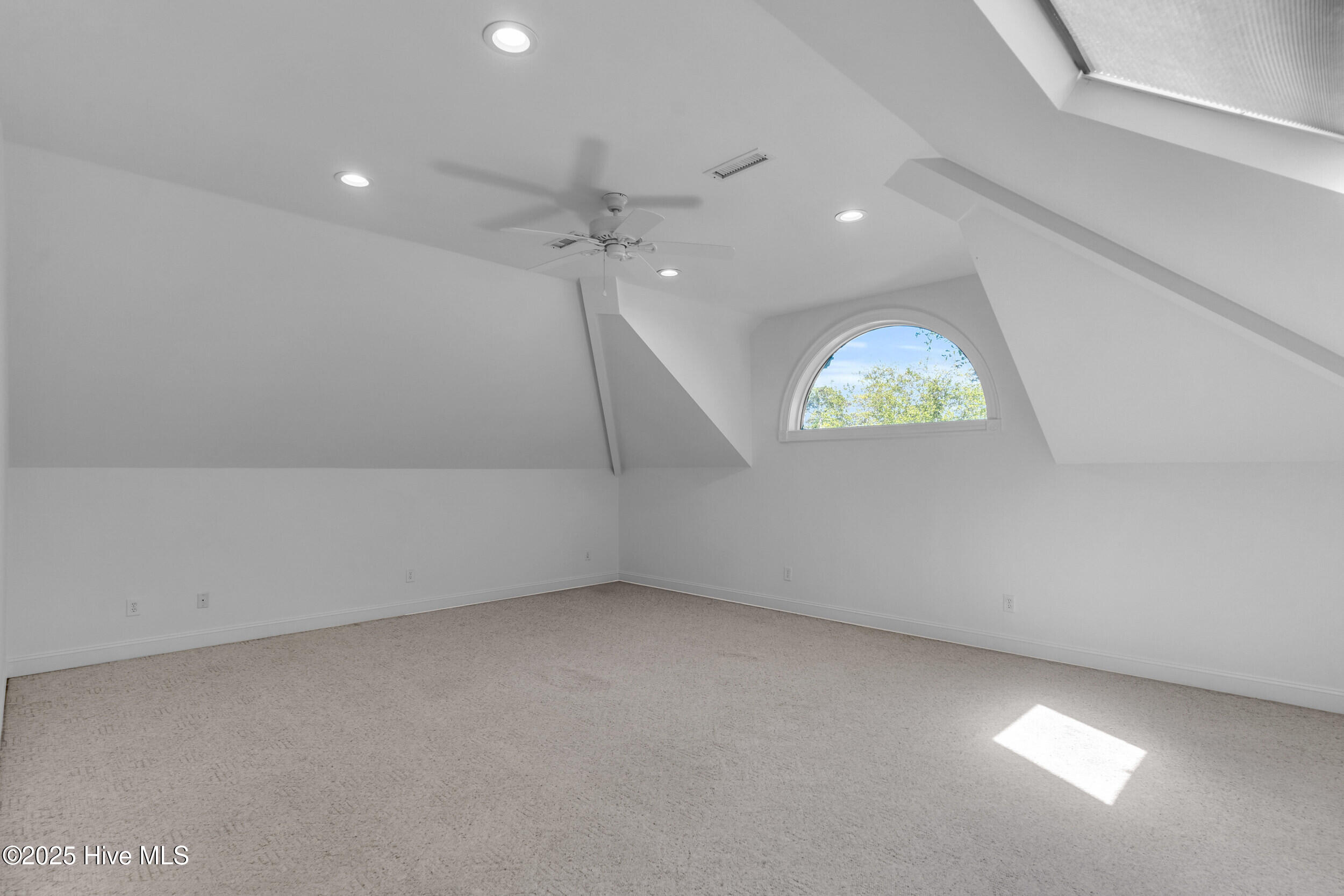 100505592 | Photo 35