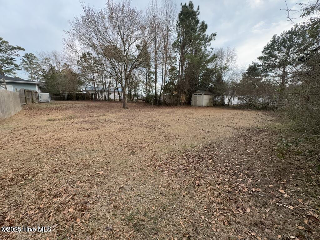 100537479 | Photo 13