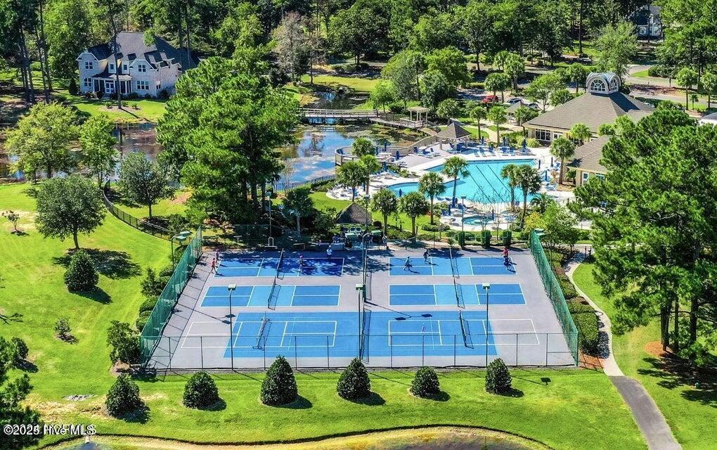 100527739 | Photo 12