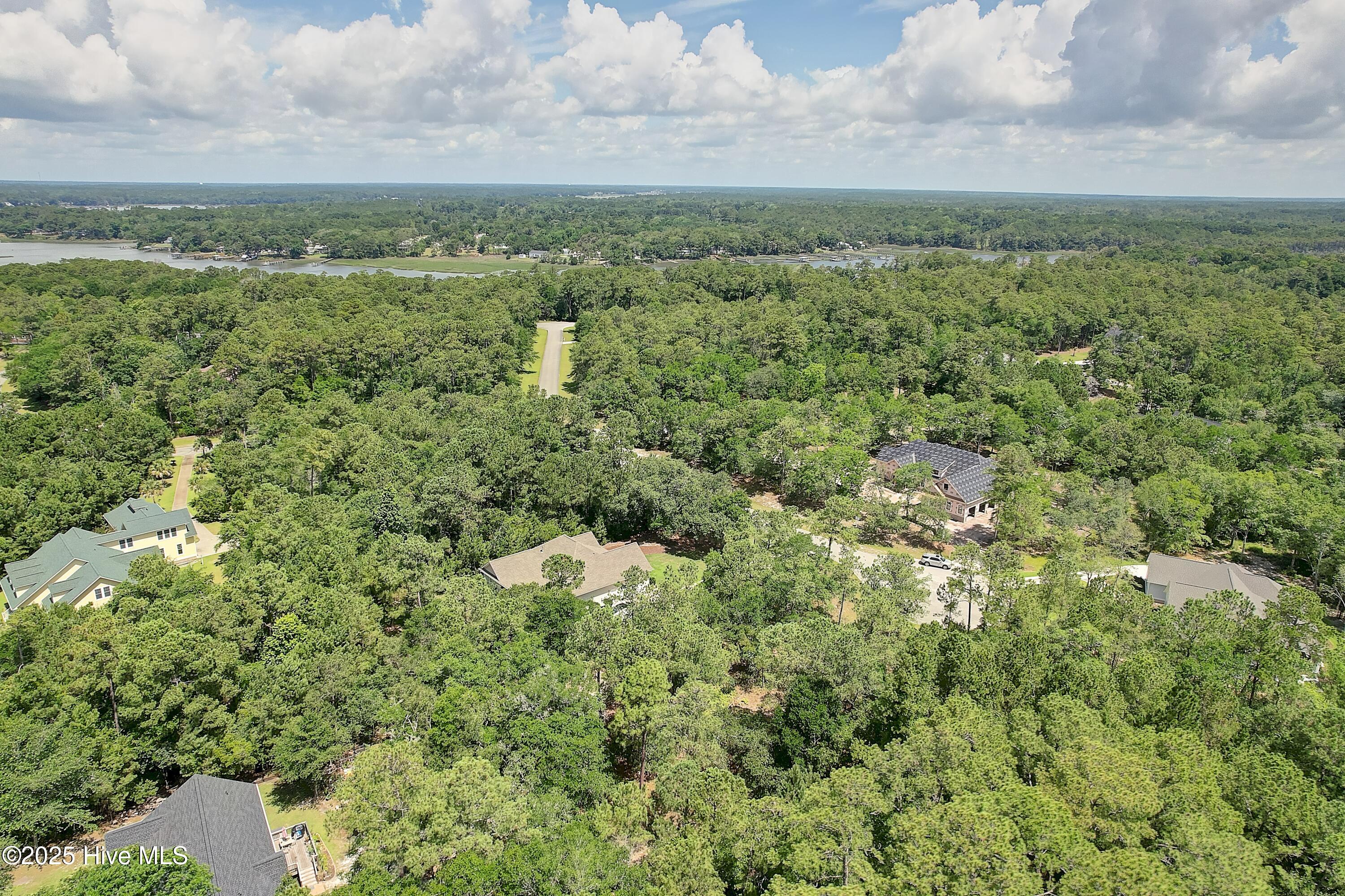 100515892 | Photo 11