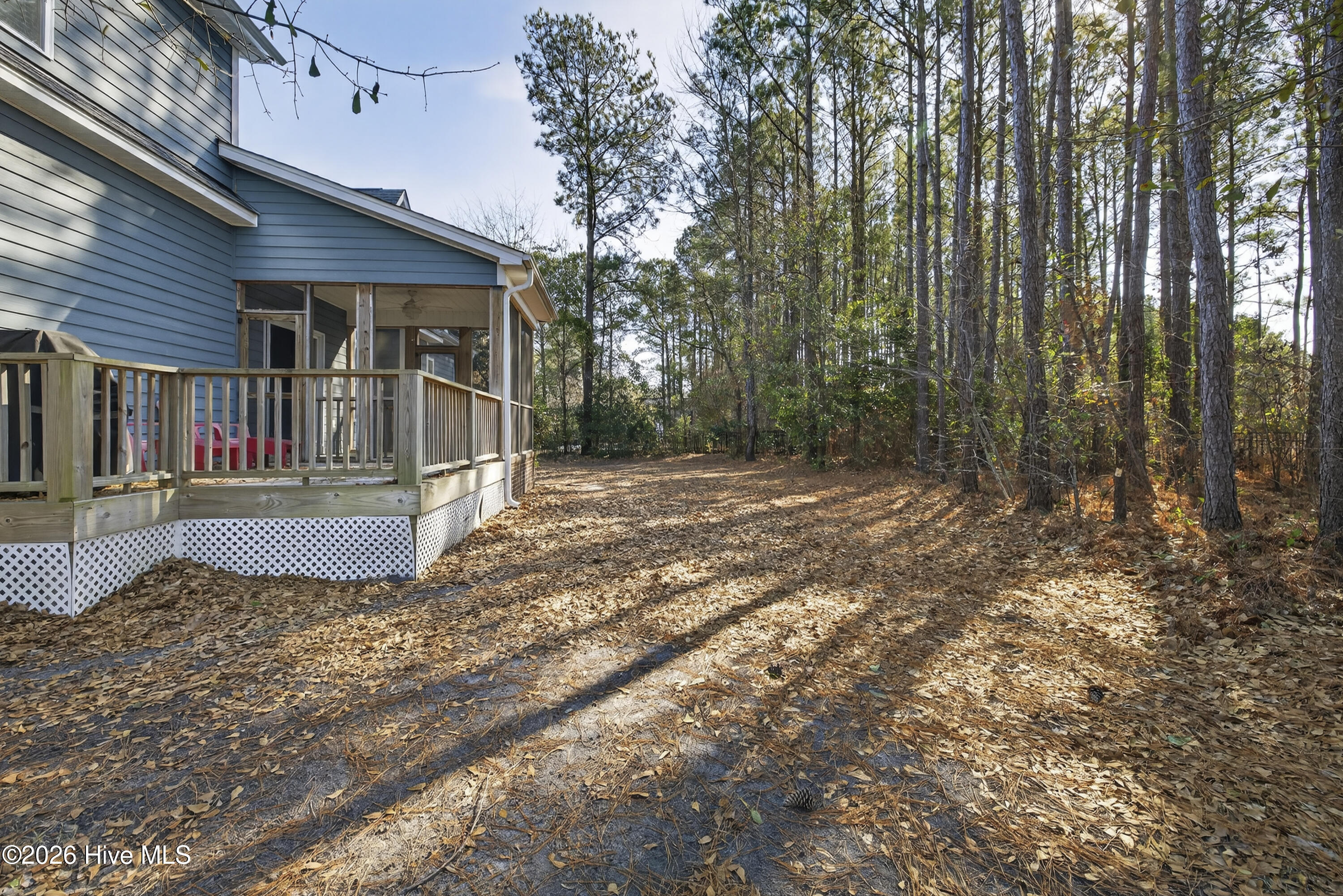 100555672 | Photo 48