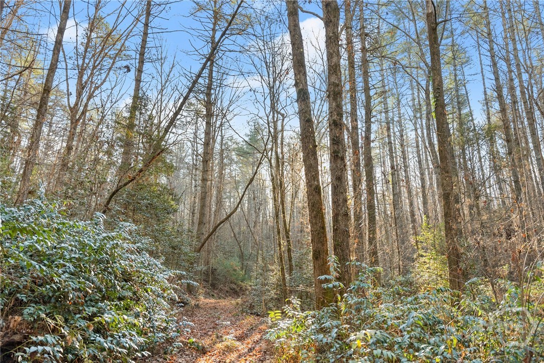 Shoal Creek Tract Habersham County