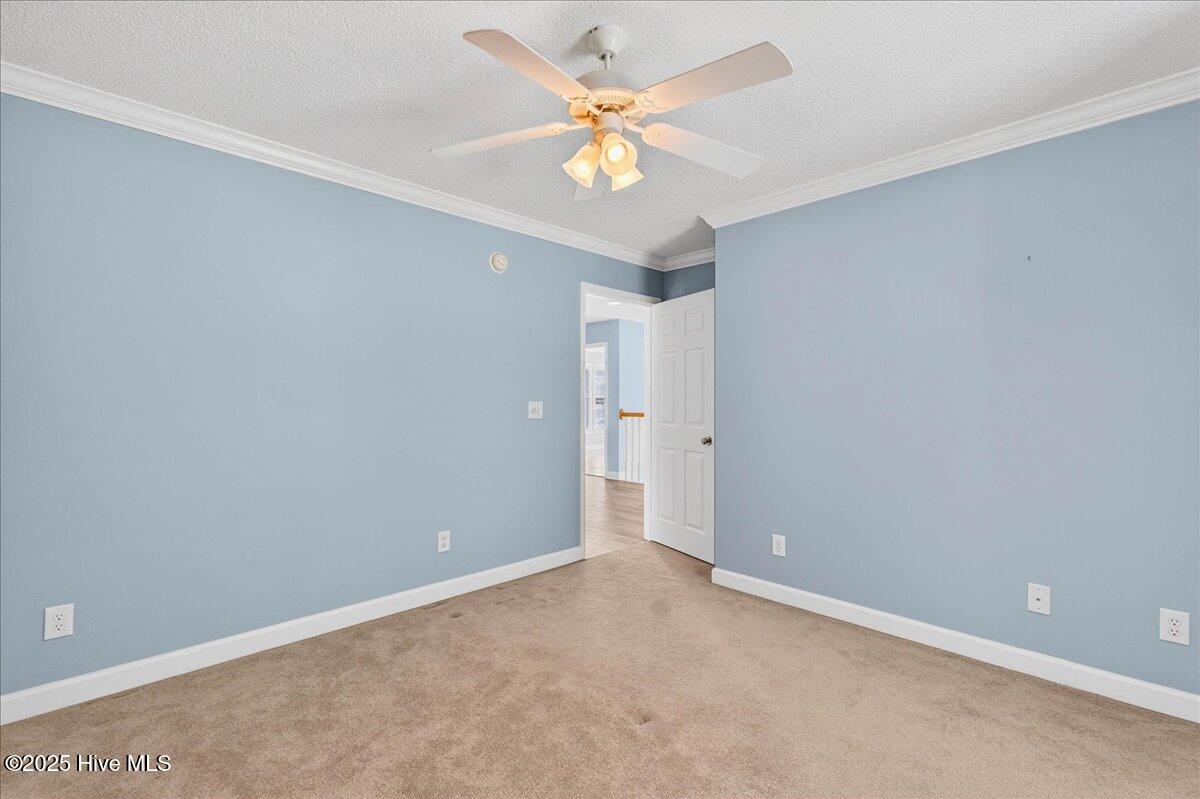 100522295 | Photo 34