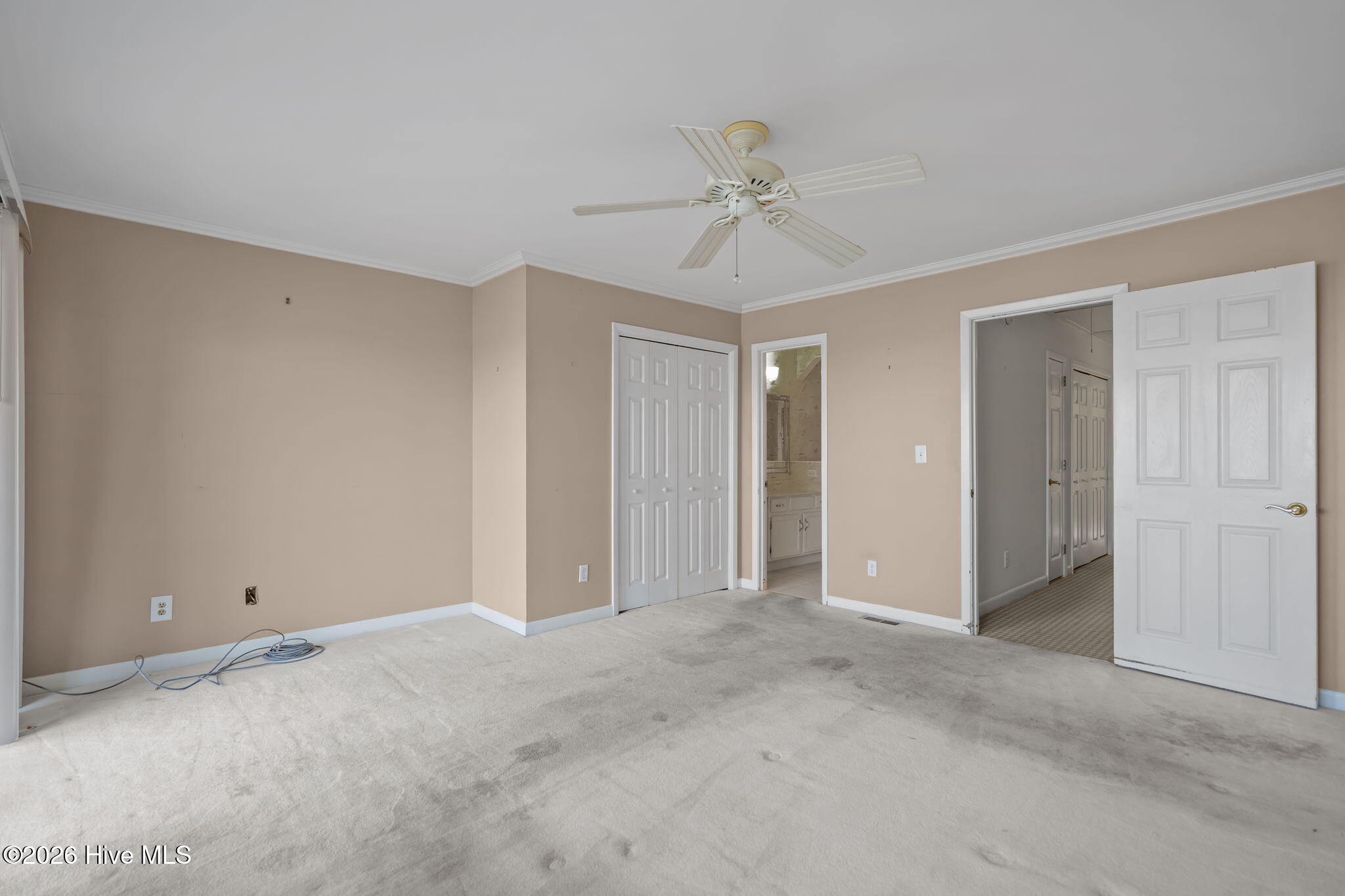 100568499 | Photo 18