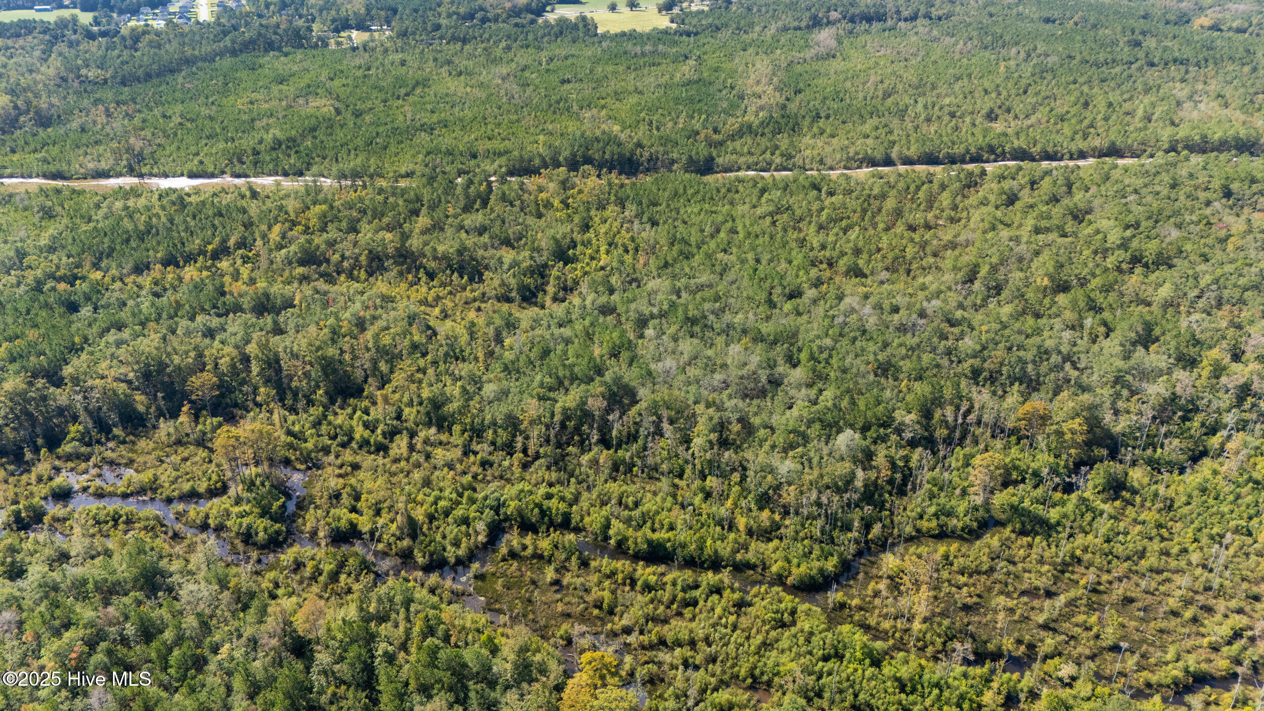 100536371 | Photo 12