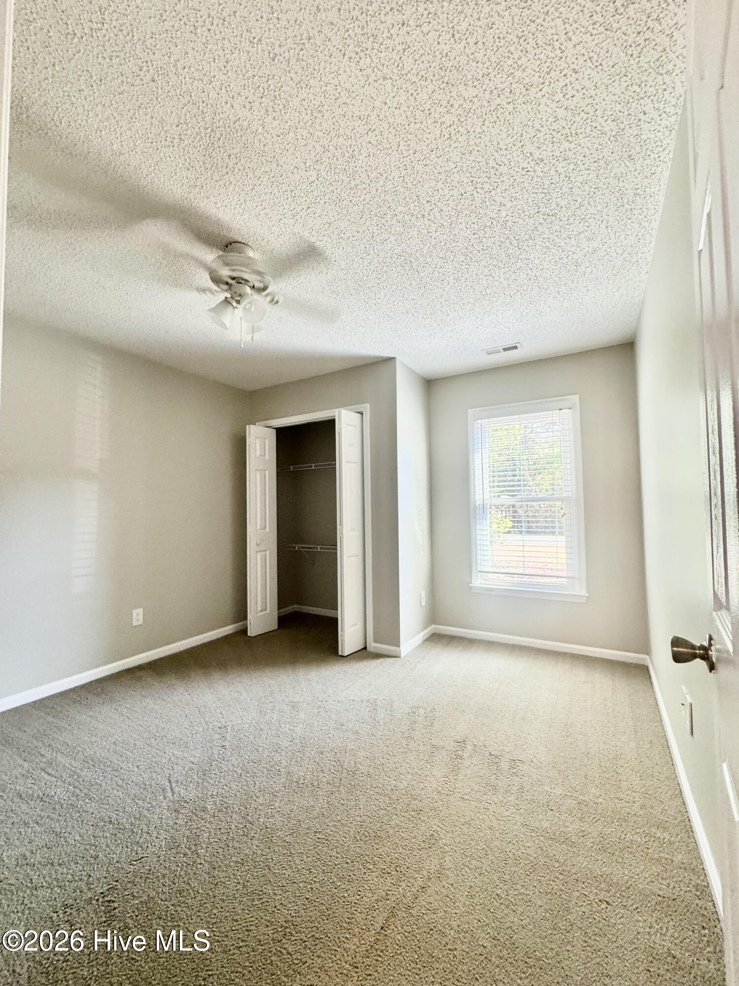 100568535 | Photo 22