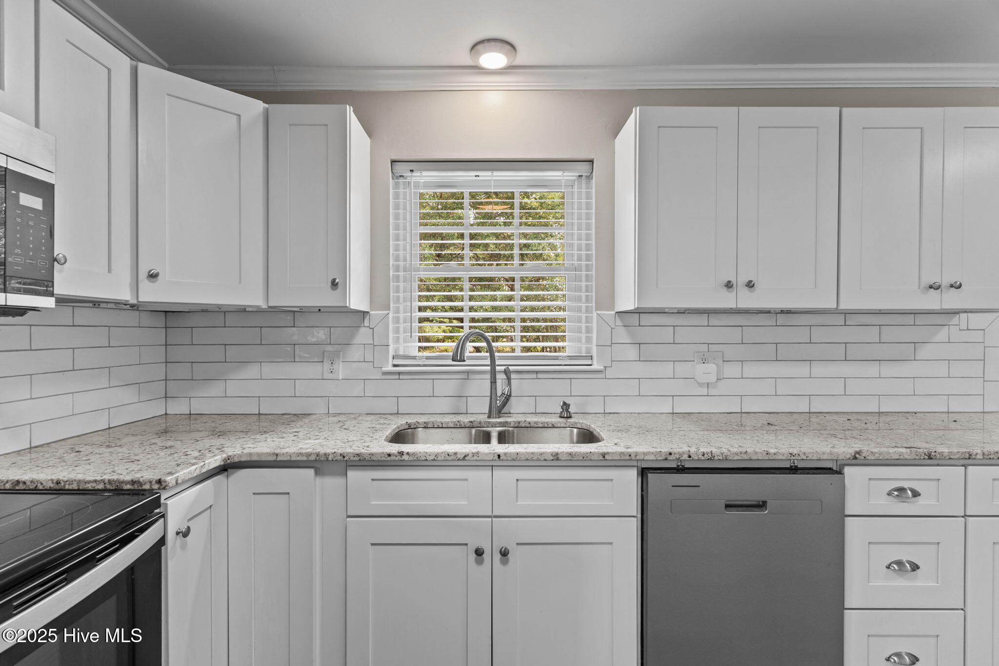 100529957 | Photo 16