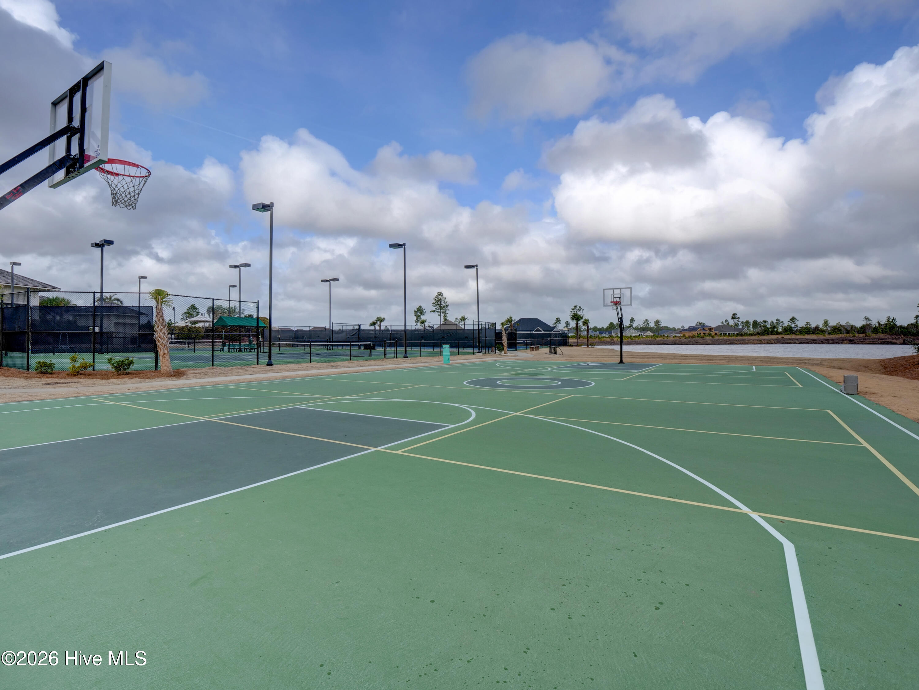 100554141 | Photo 43