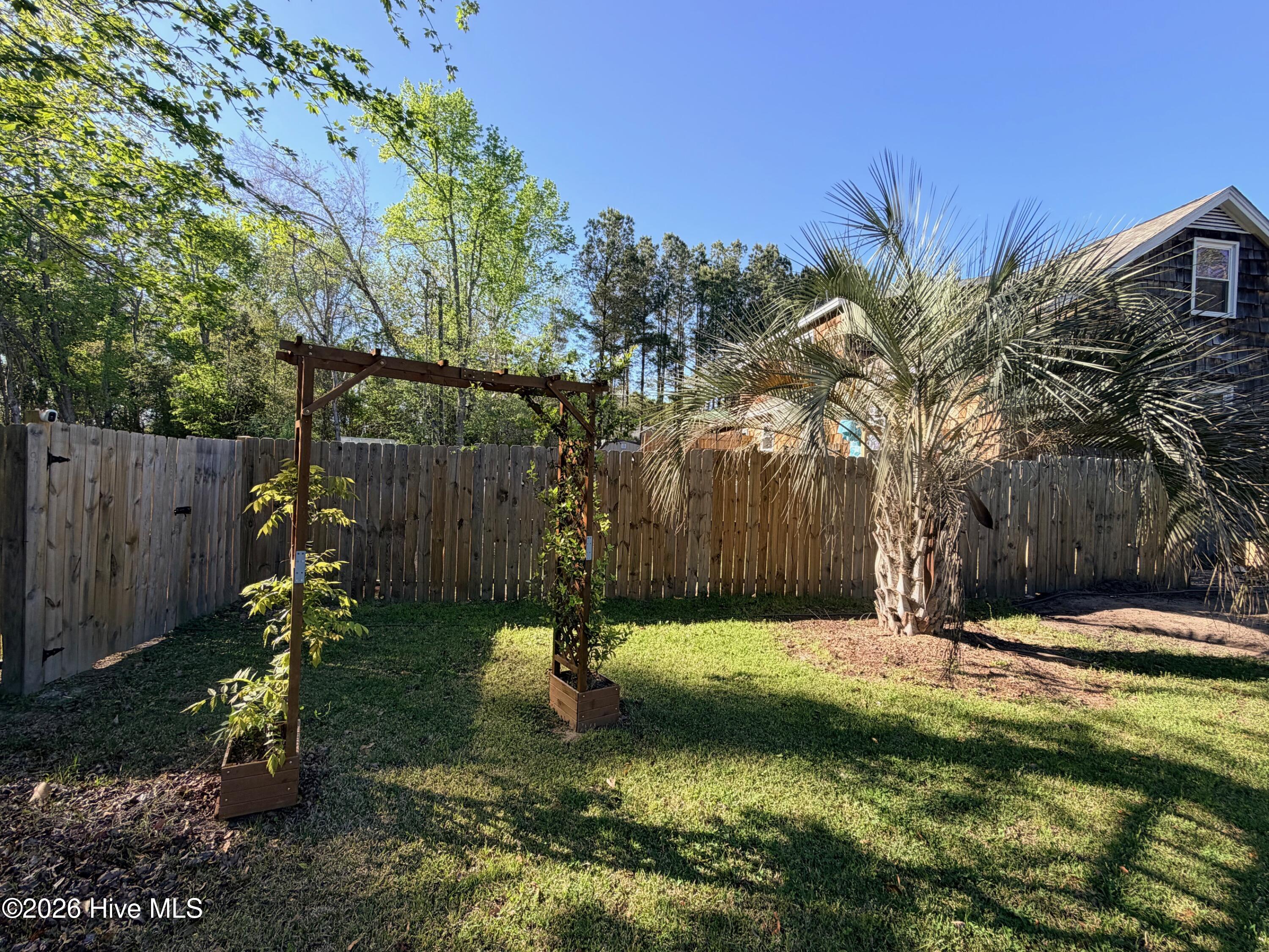 100565129 | Photo 97