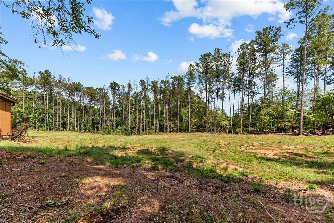 Back Acreage