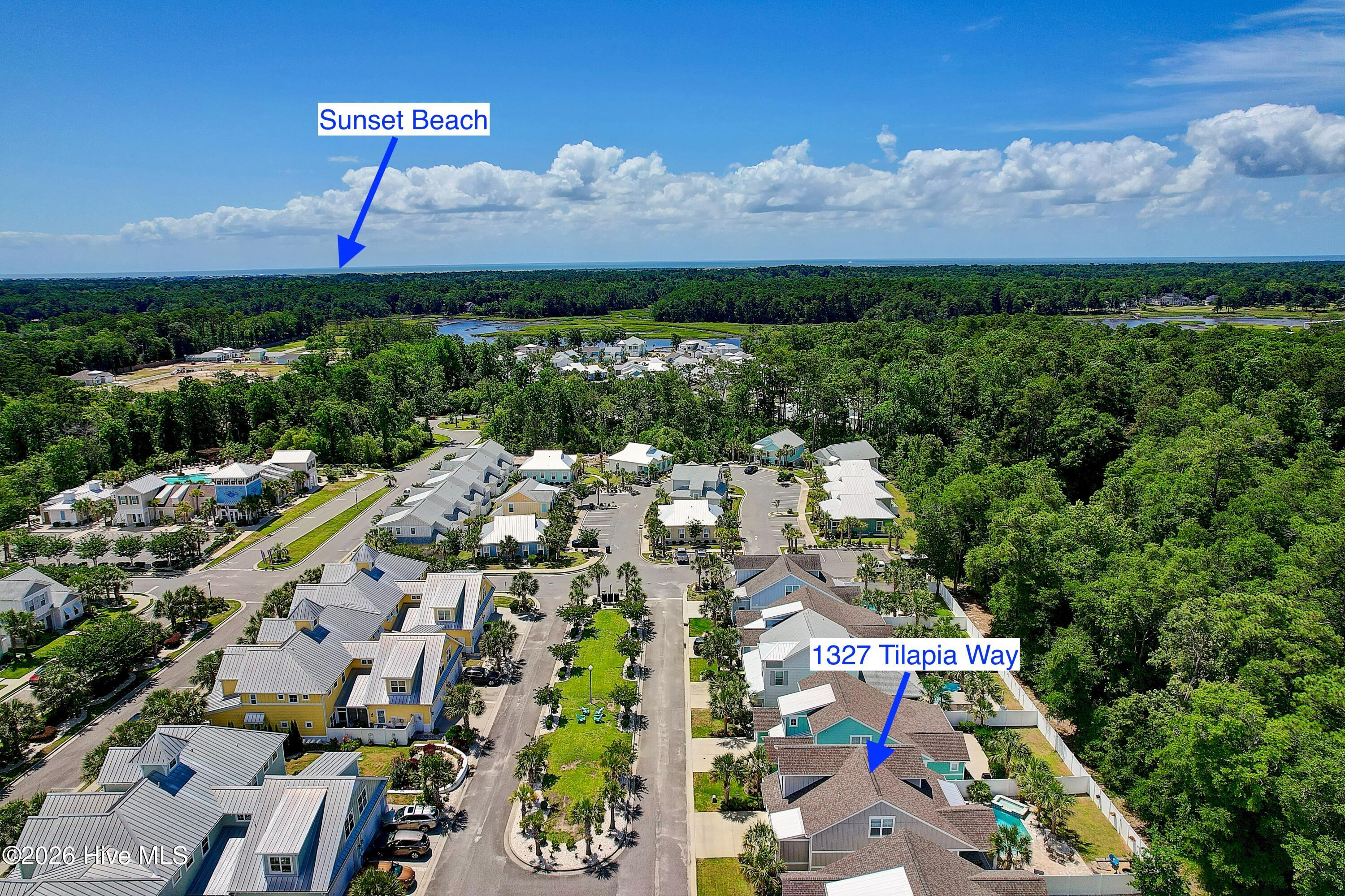 100561295 | Photo 46