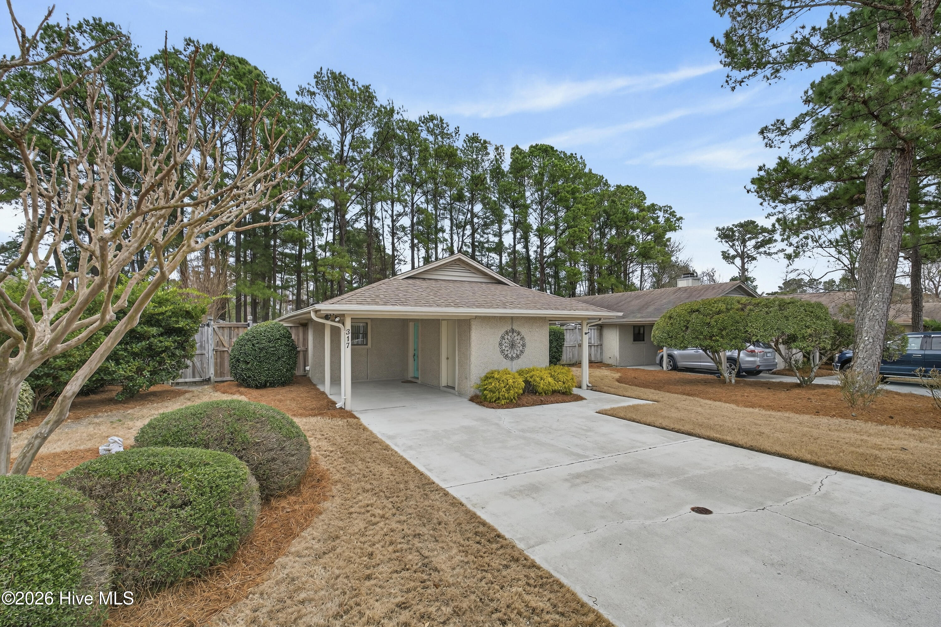 100557206 | Photo 35