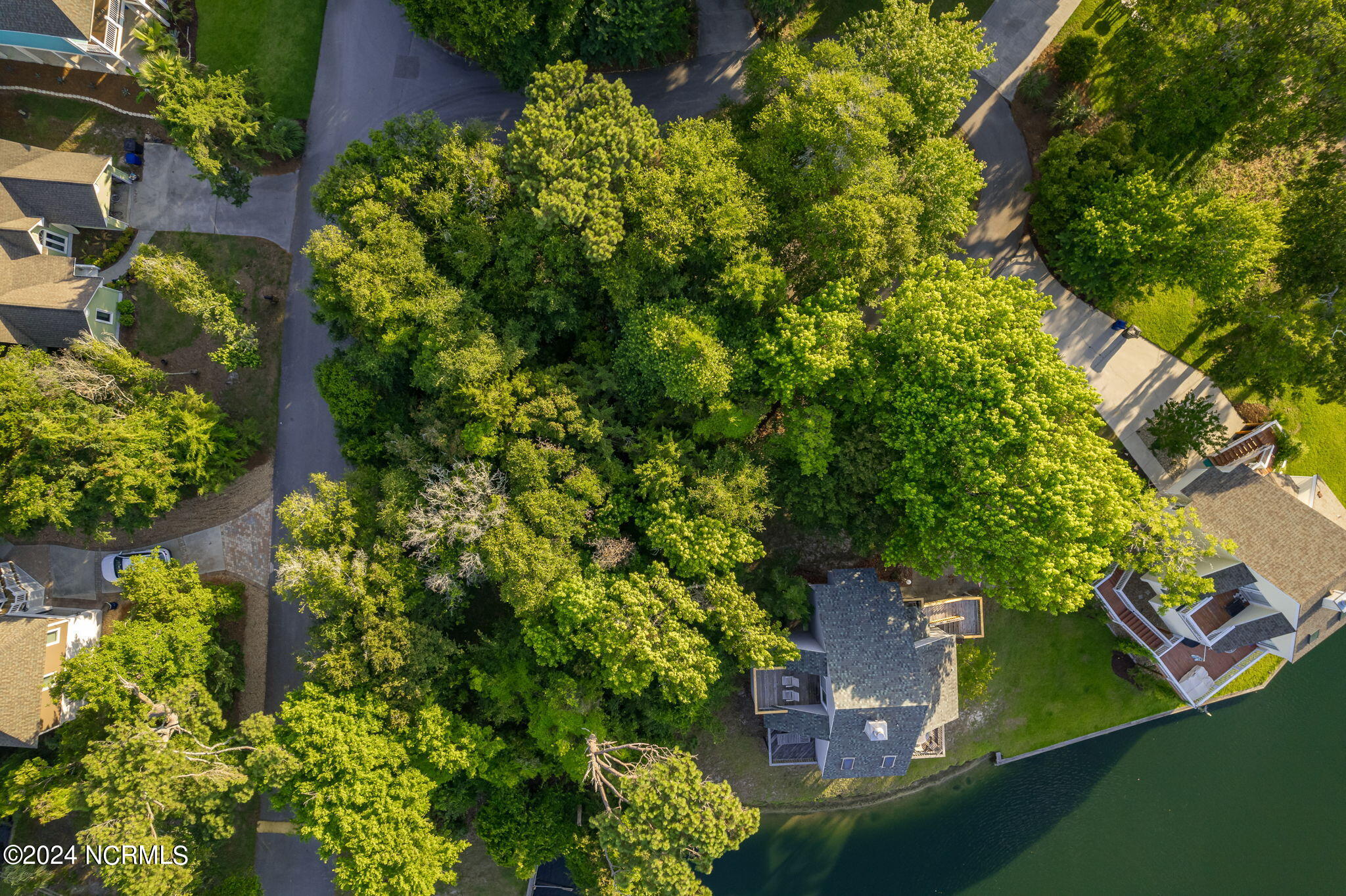 100527912 | Photo 18