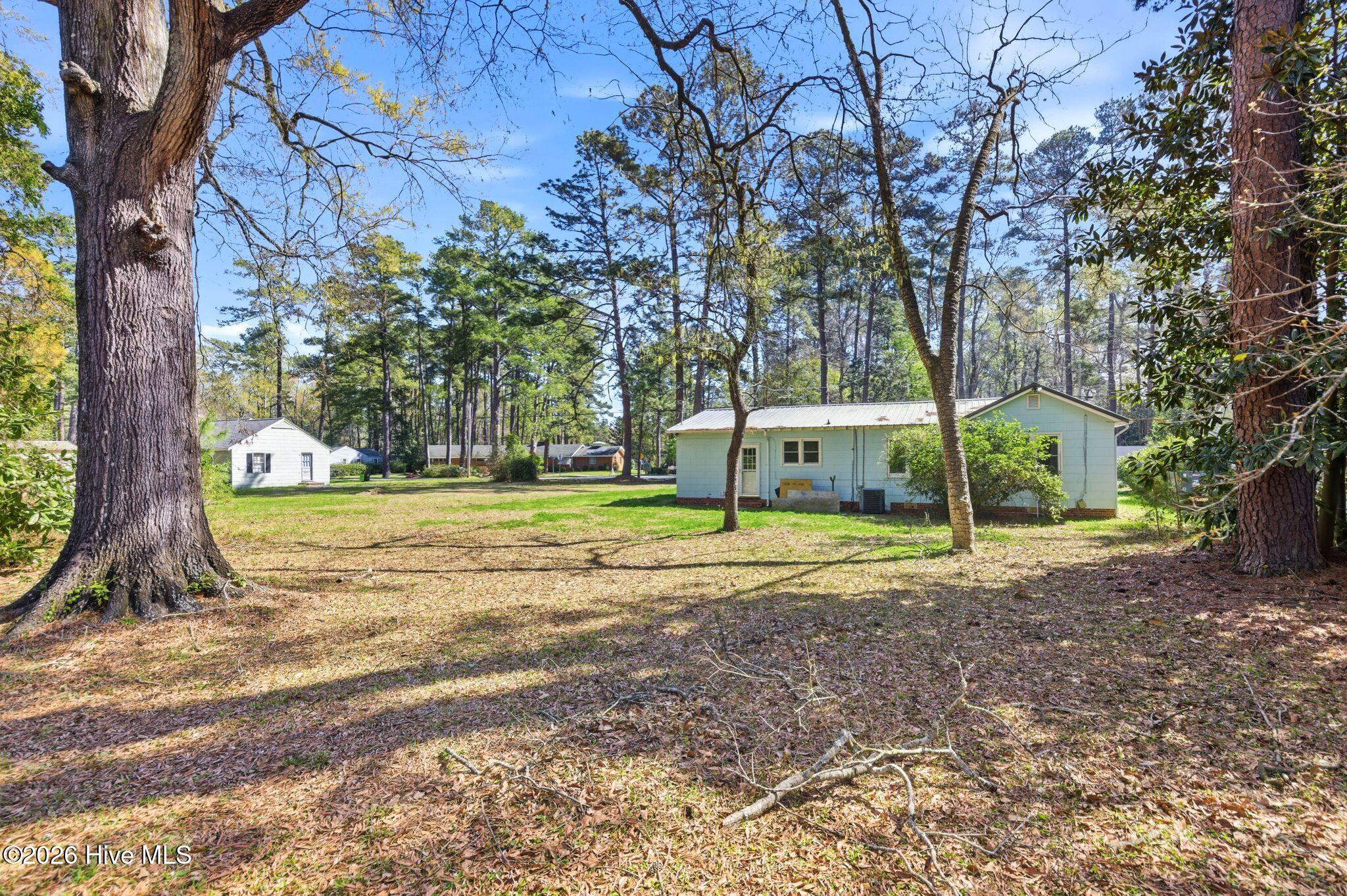 100562415 | Photo 40