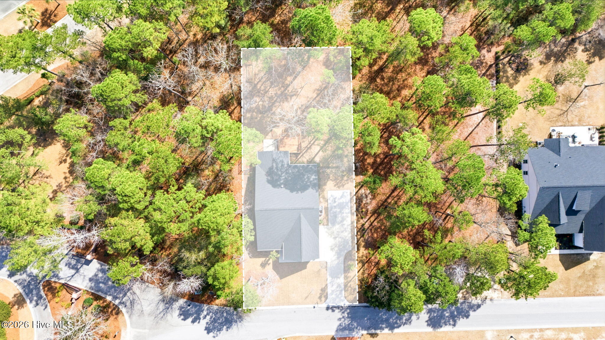 100558607 | Photo 48