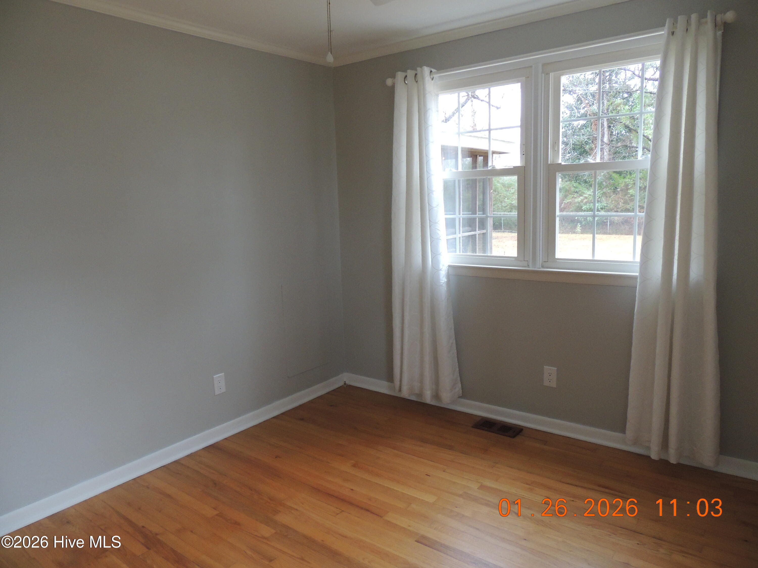 100551473 | Photo 23