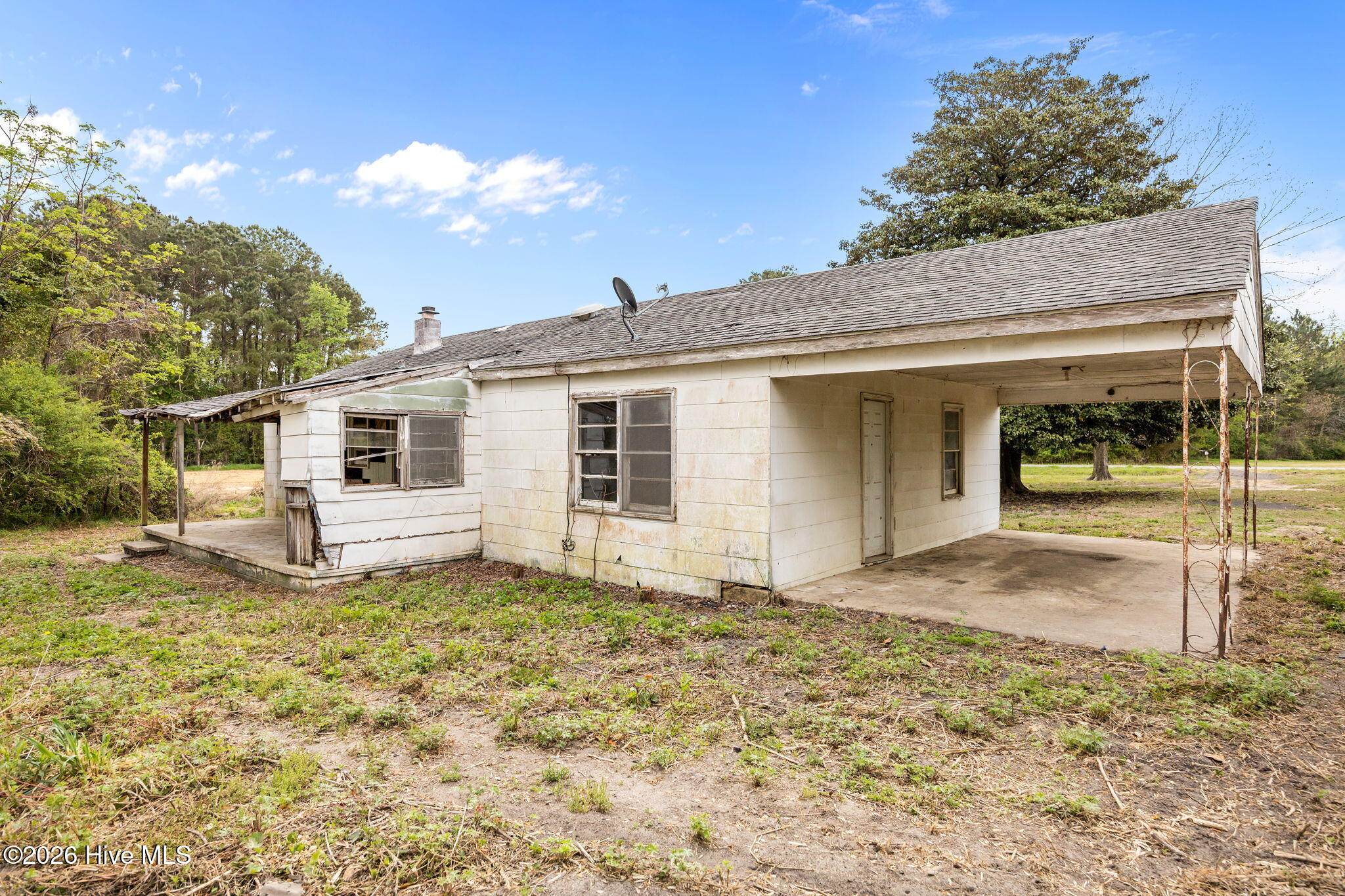 100565134 | Photo 34