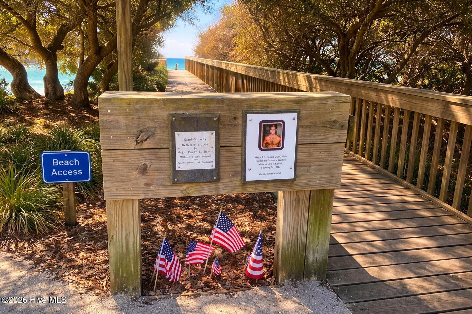 100560834 | Photo 44