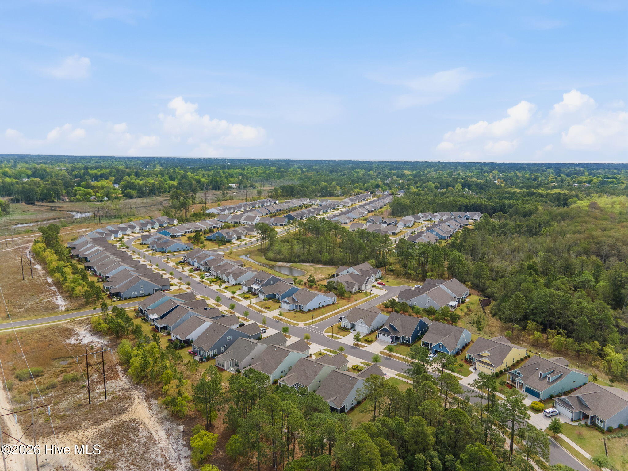 100565858 | Photo 52