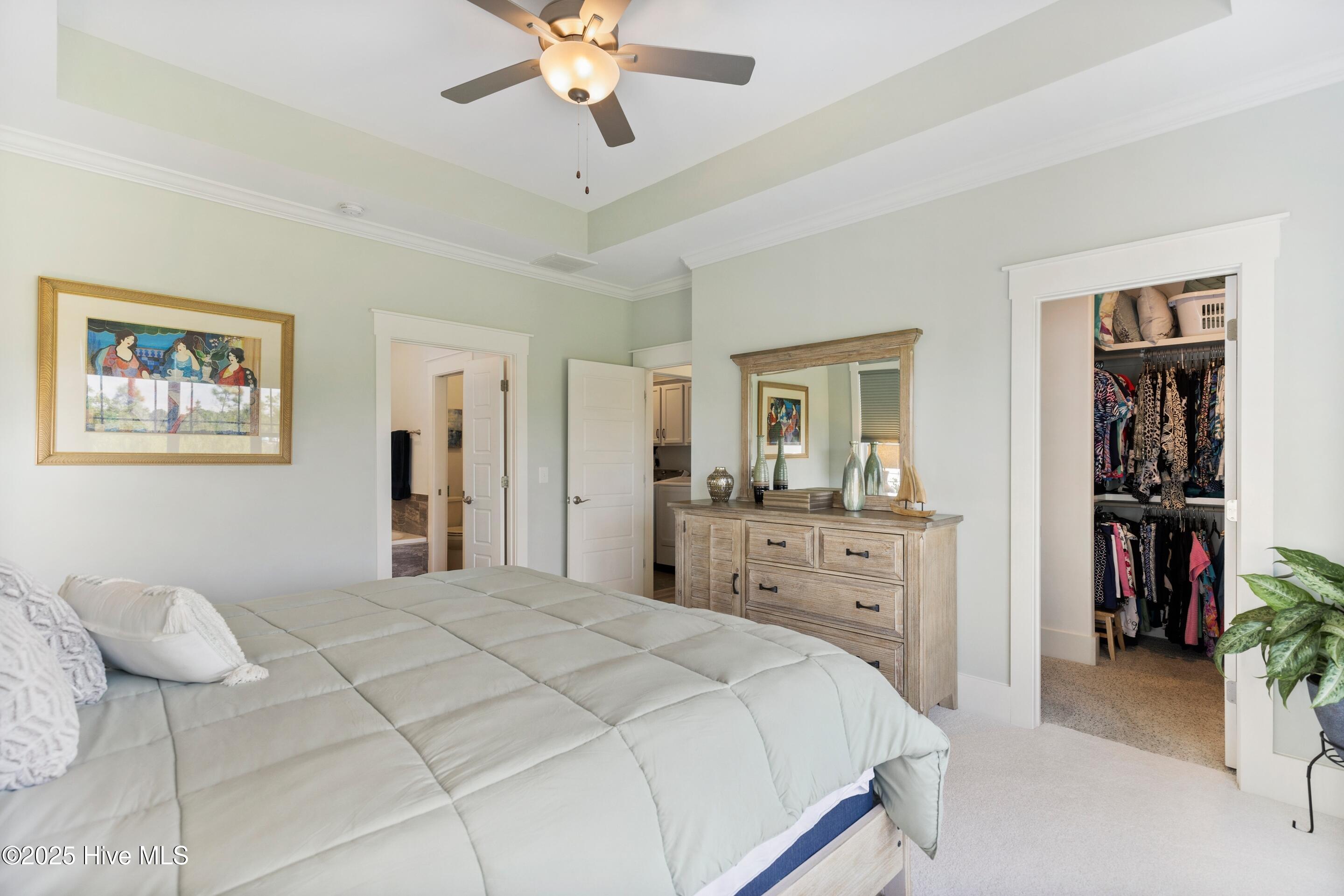 100530533 | Photo 18