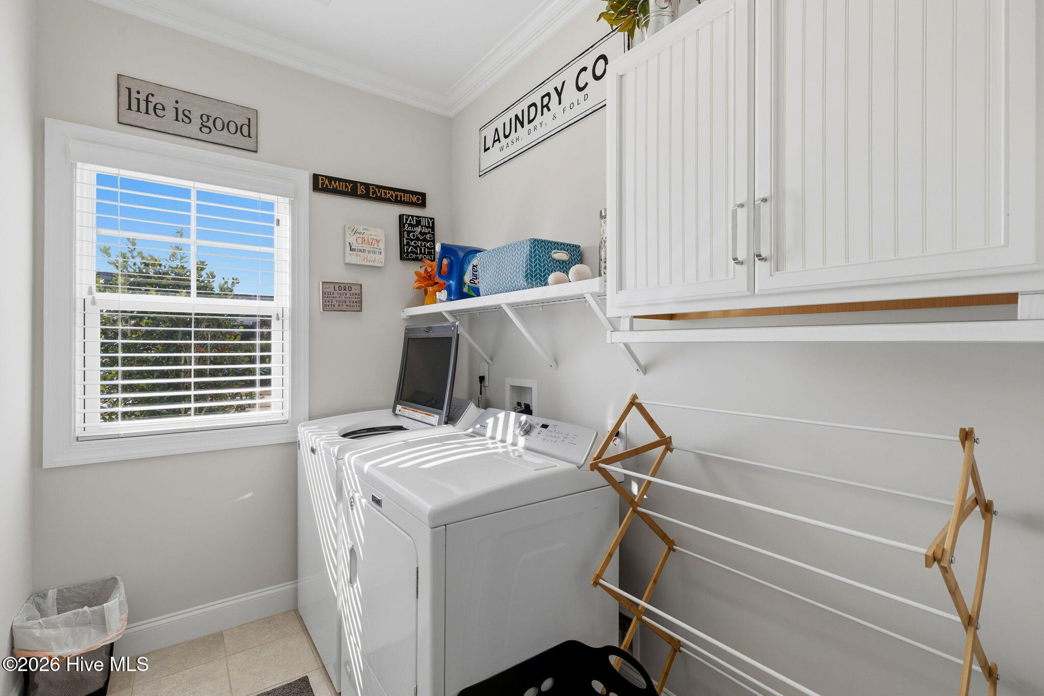 100554353 | Photo 42