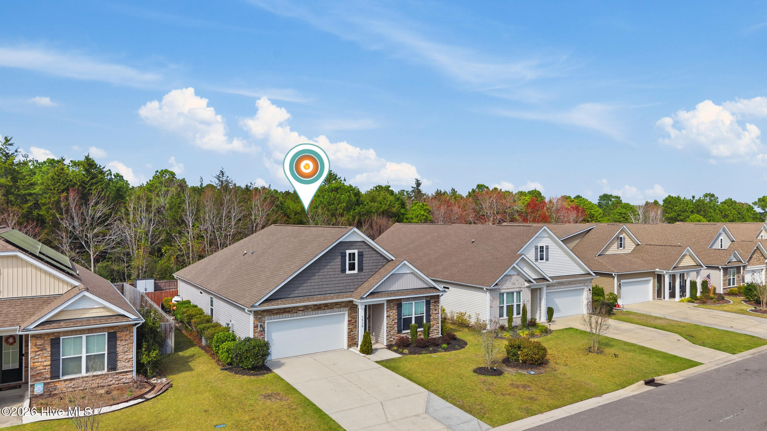 100557196 | Photo 31