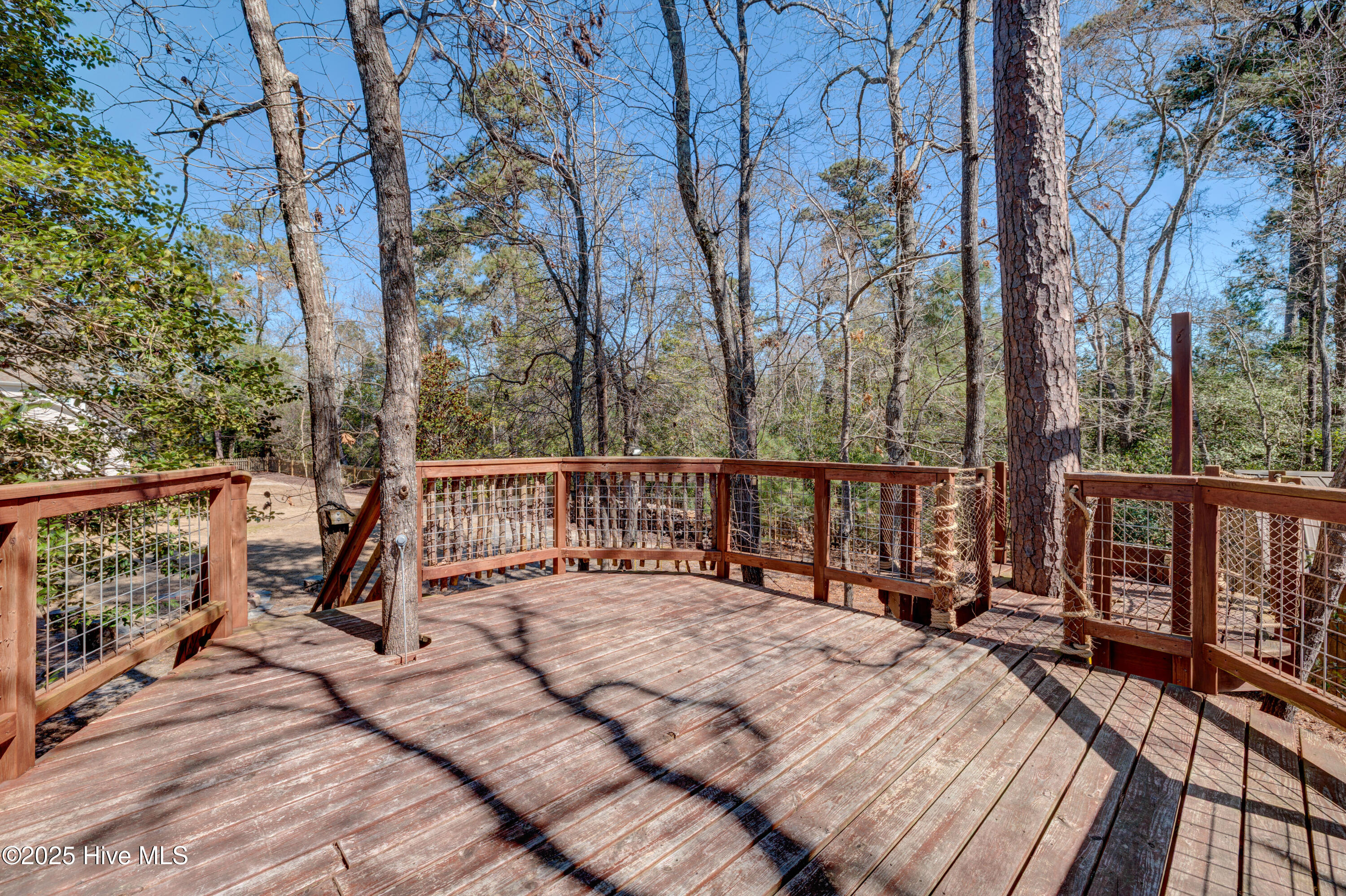 100496540 | Photo 77