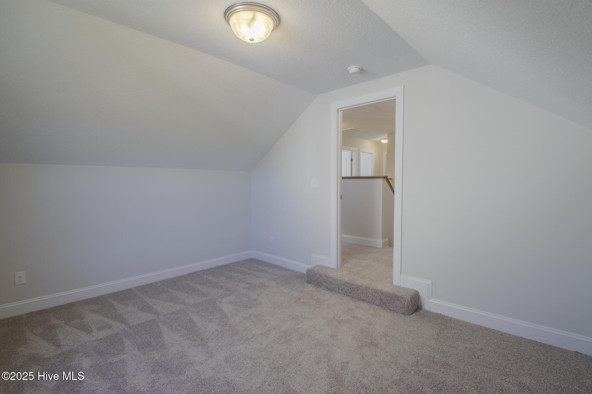 100502962 | Photo 22