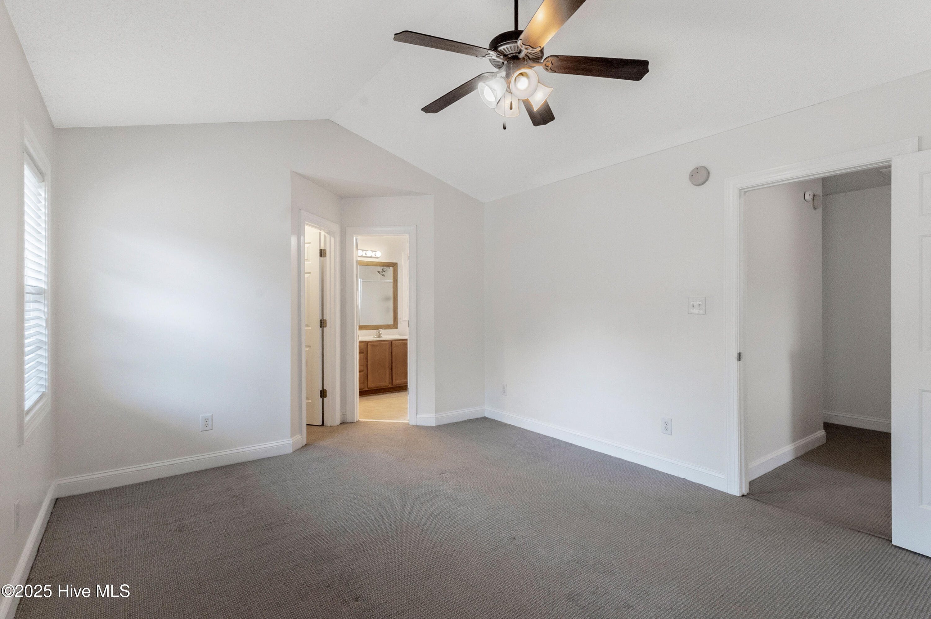 100546645 | Photo 30