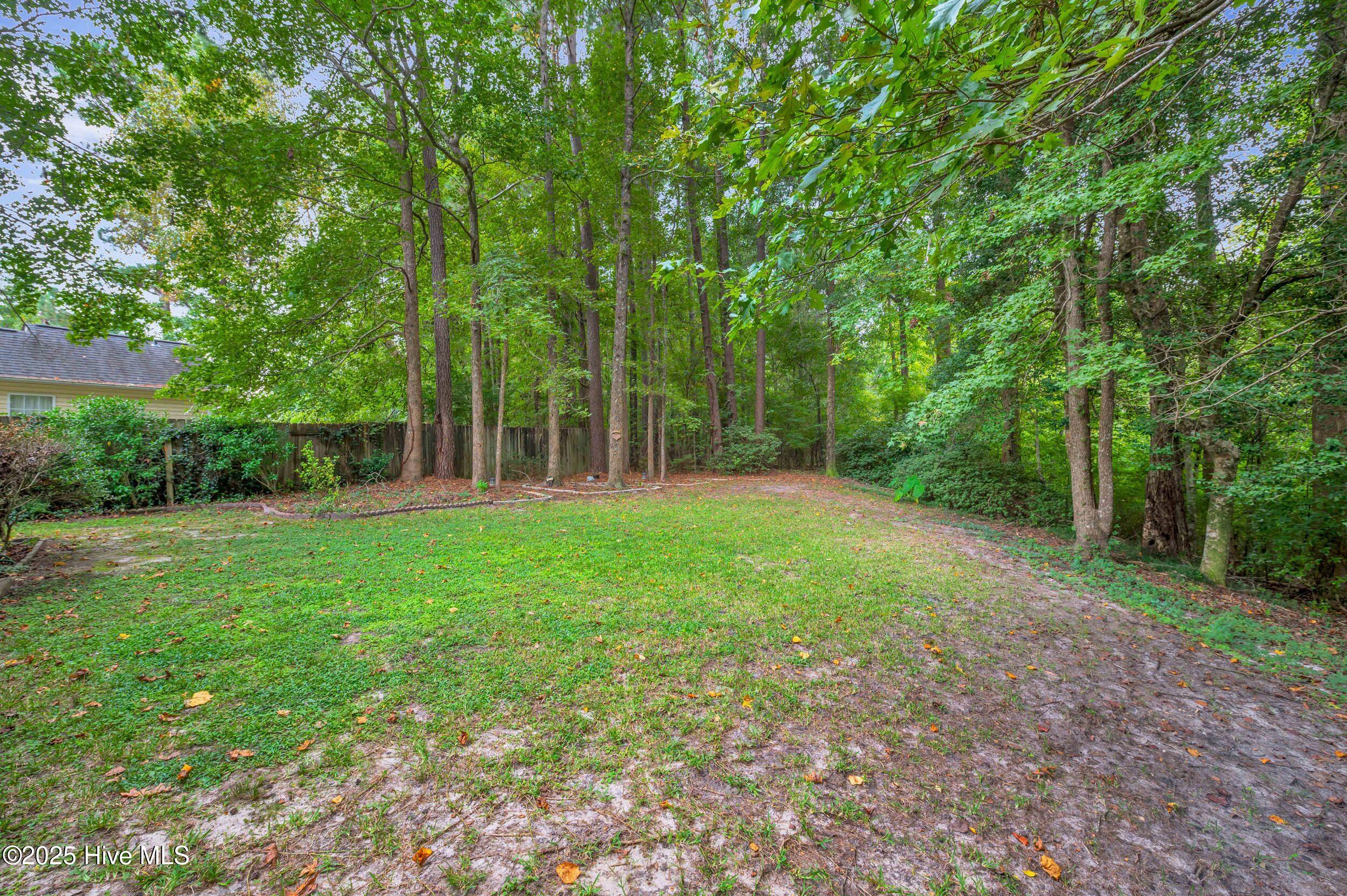 100531306 | Photo 18