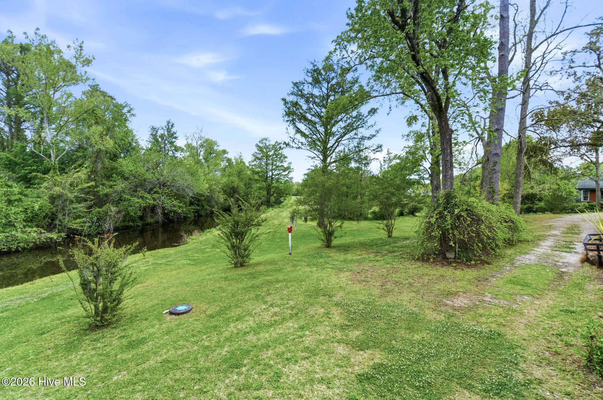 100565757 | Photo 47