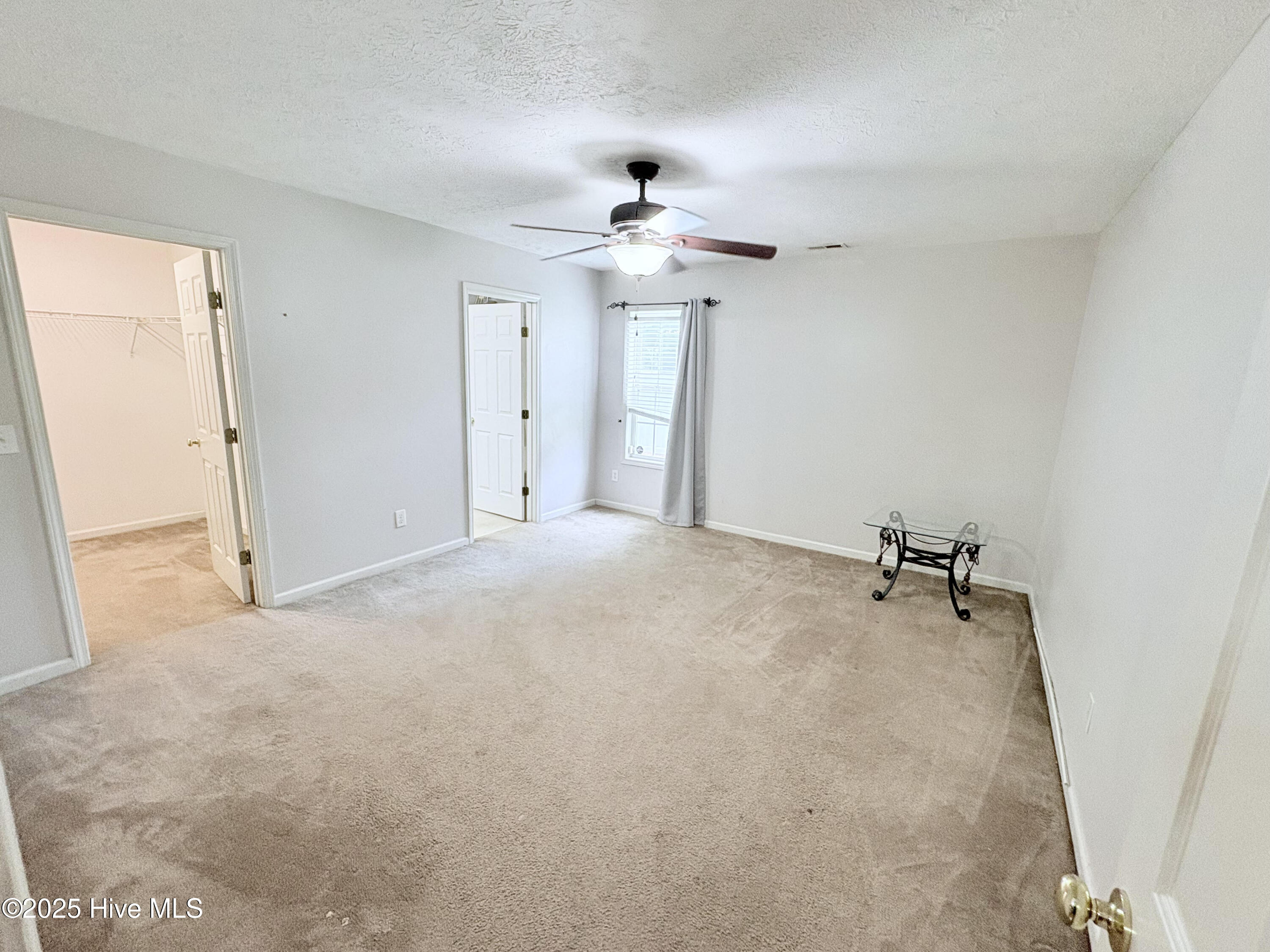 100563747 | Photo 17