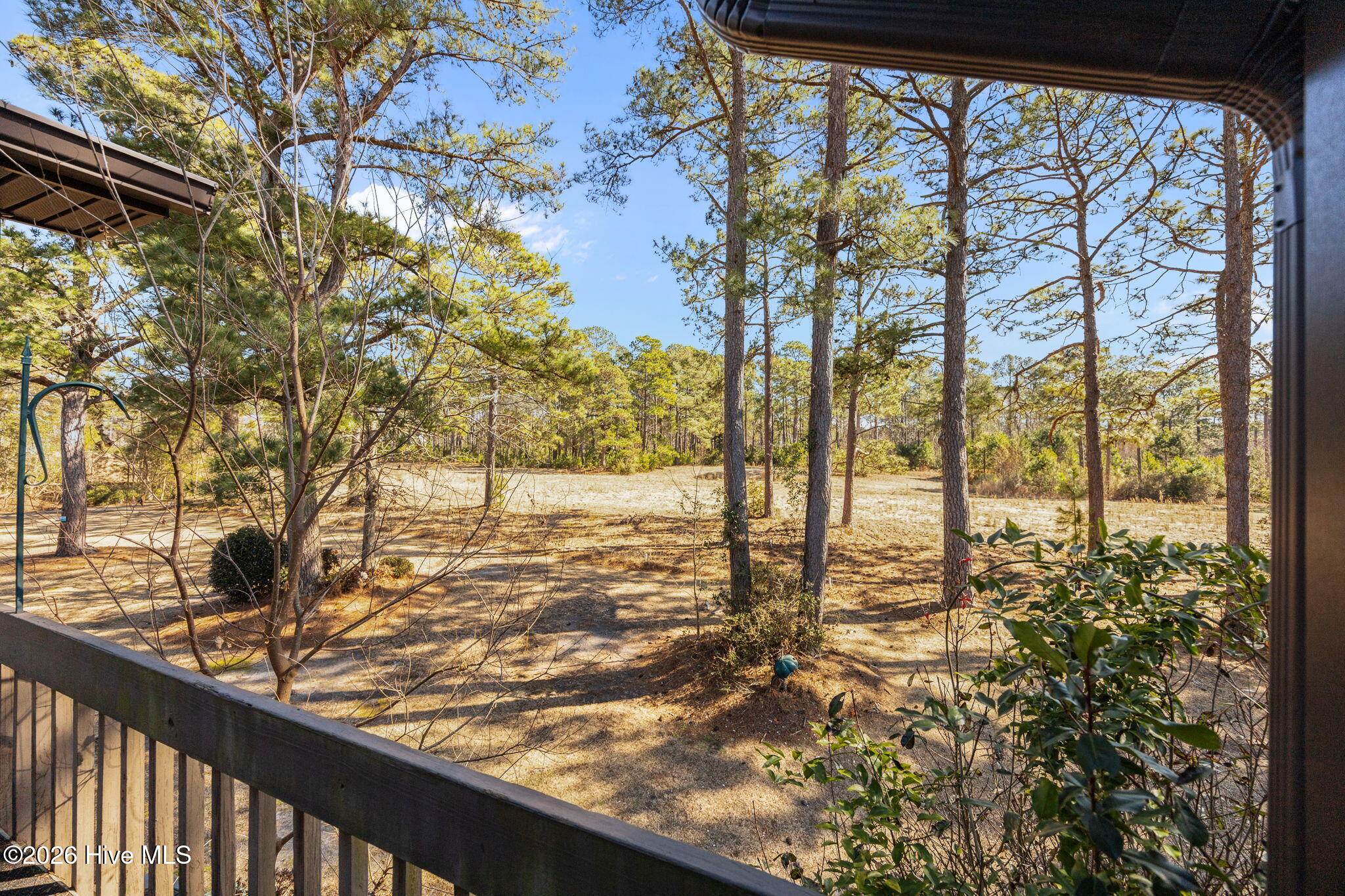 100554943 | Photo 22