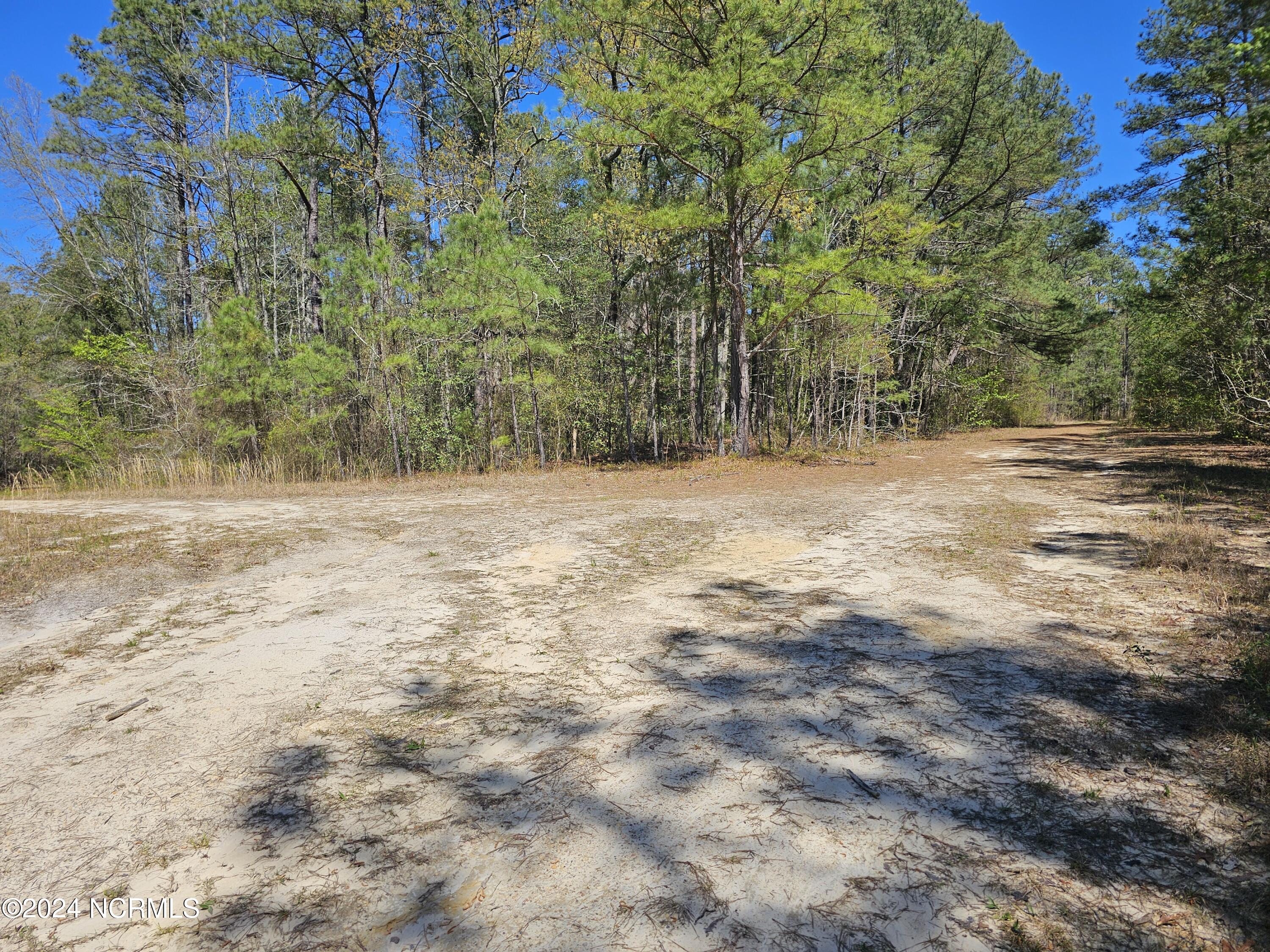 353 Indian Pipe Lane, Vass, NC, 28394