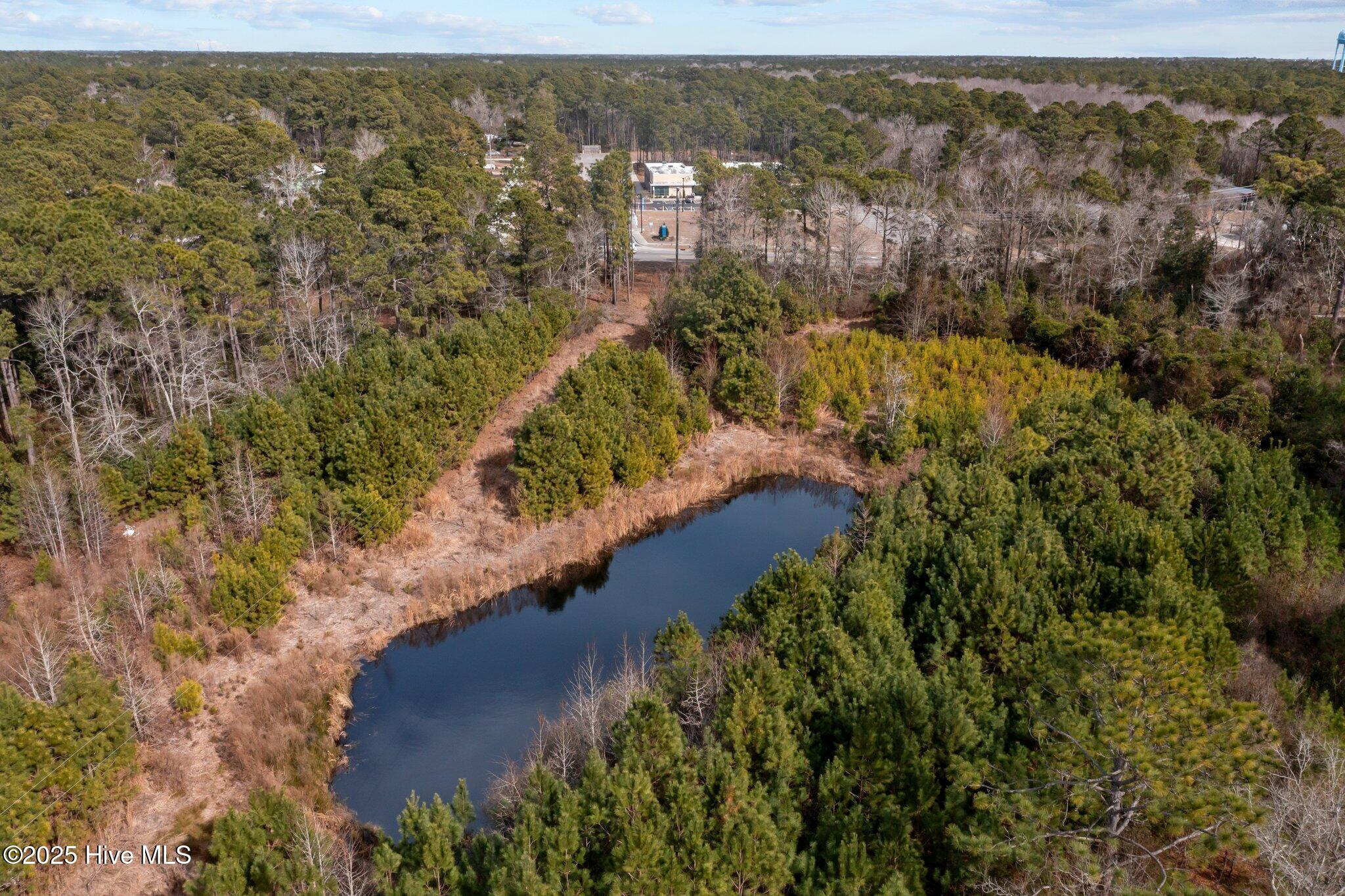 100501075 | Photo 19