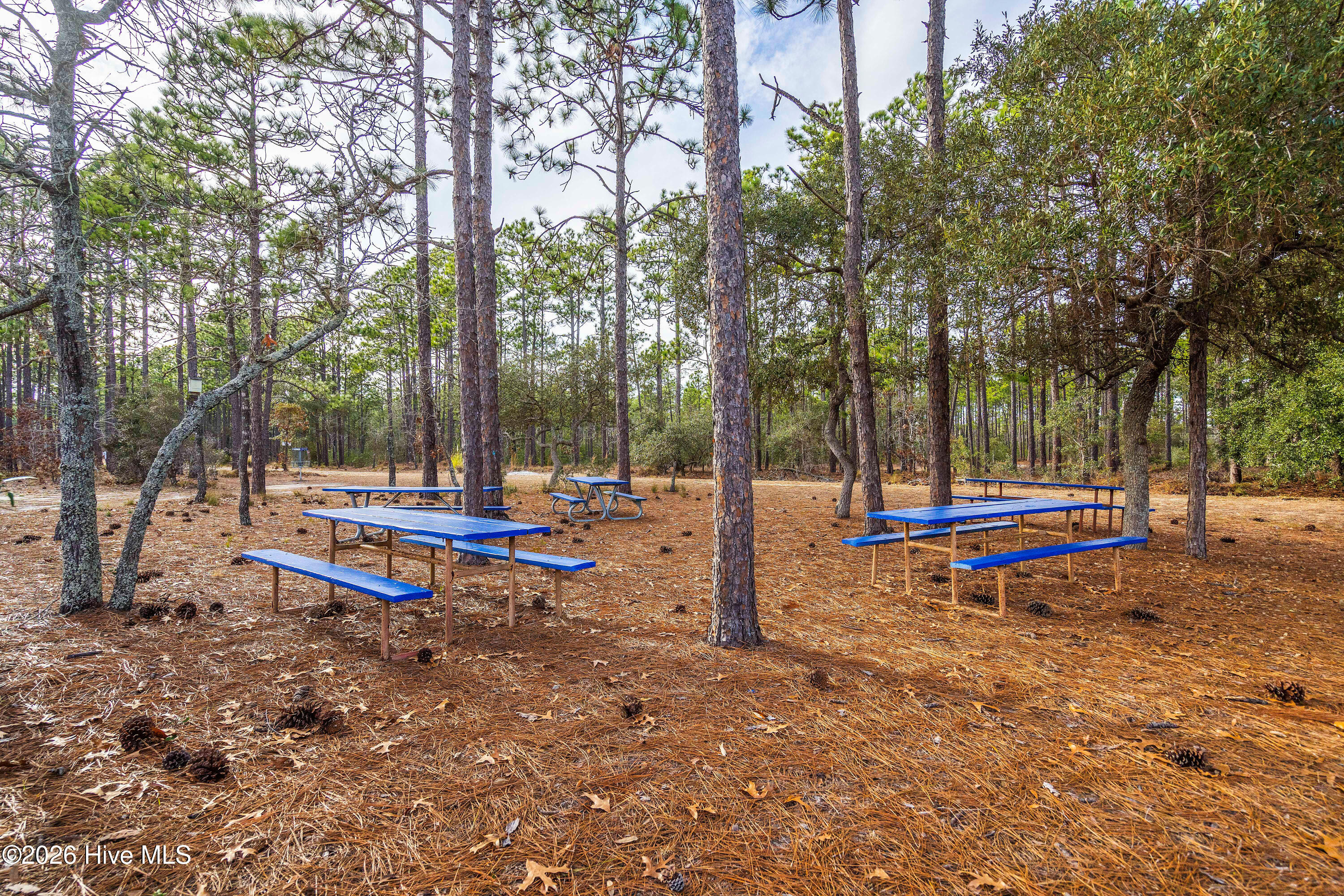 100569196 | Photo 75